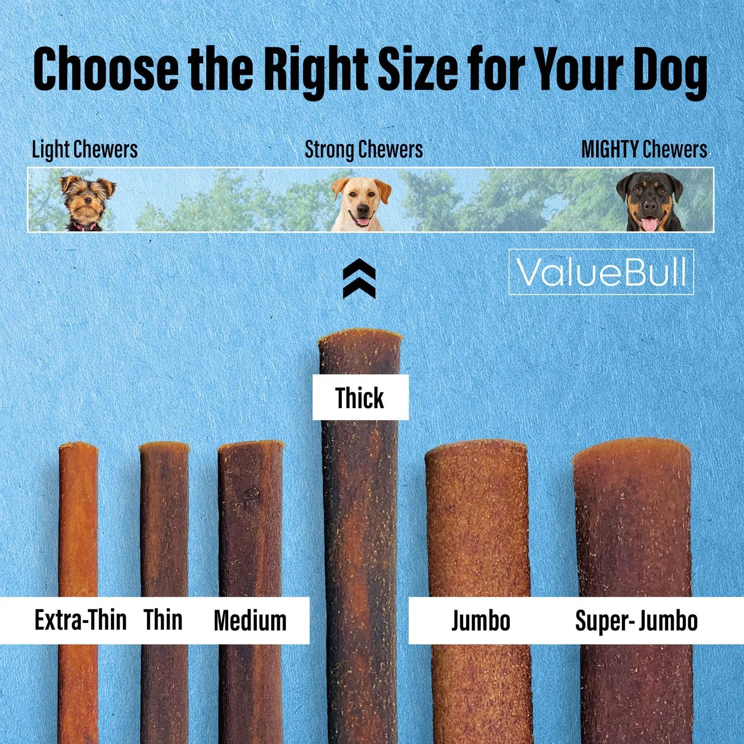 استخوان کلاژن ValueBull برای سگ ها، جویدنی های ضخیم 6 اینچی، تشویقی های طبیعی و ماندگار سگ، بسته عمده 100 عددی - پشتیبانی از مفاصل، پوست و پوشش با کندرویتین و گلوکزامین