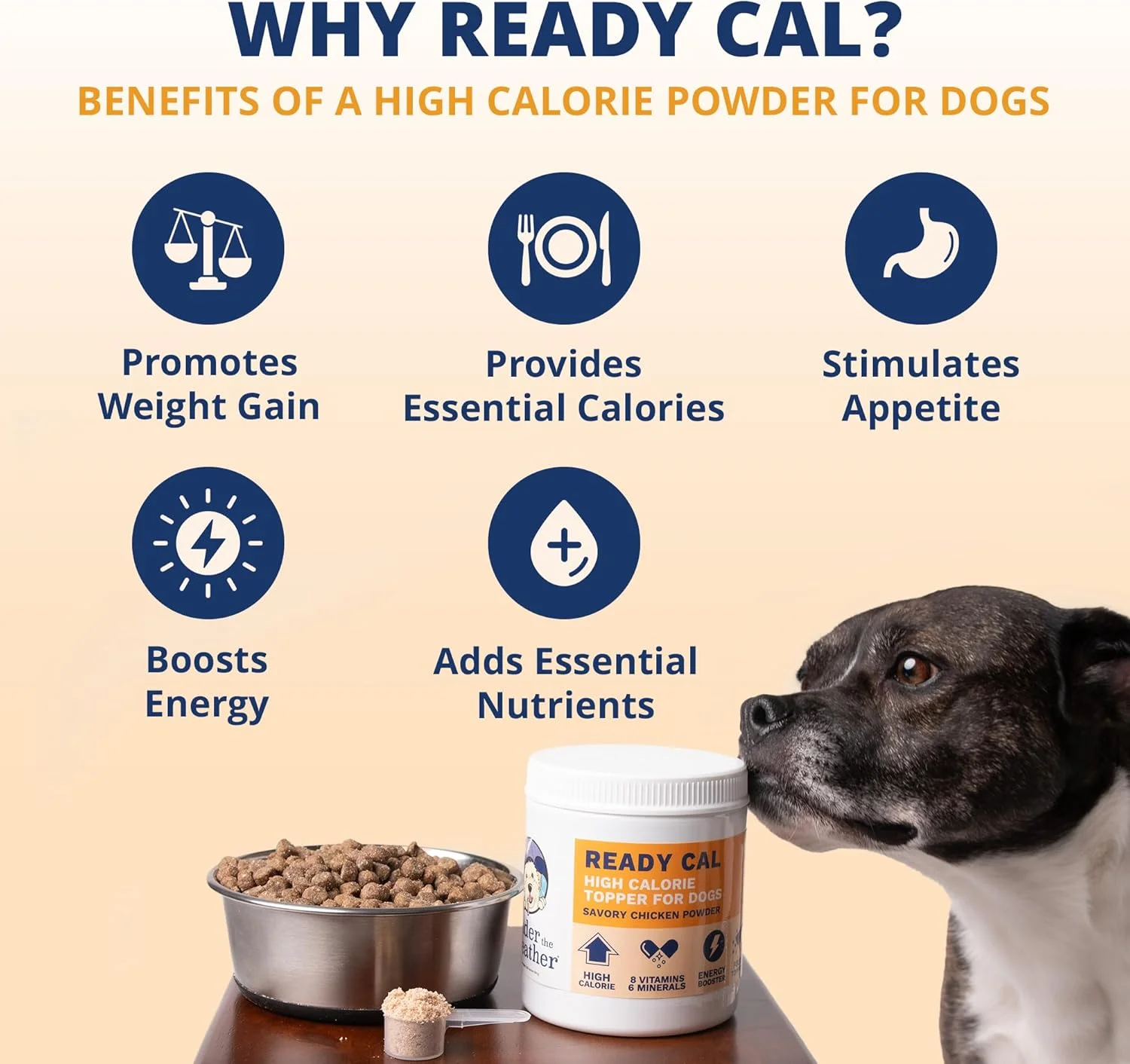 پودر افزایش وزن و محرک اشتها برای سگ ها، مکمل انرژی سگ تایید شده توسط دامپزشک حاوی ویتامین ها و مواد معدنی، طعم مرغ | 300 گرم