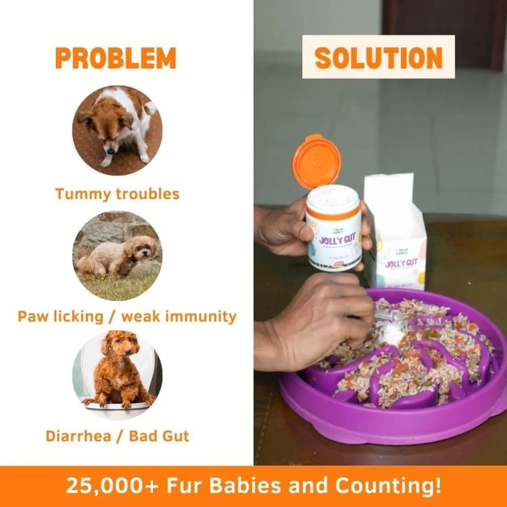 مکمل پری بیوتیک و پروبیوتیک جولی گات، سگ و گربه، پشتیبانی از اسهال و روده، بهبود هضم، ایمنی، آنزیم های گوارشی برای فلور روده، مناسب برای همه نژادها و سنین 200 گرم