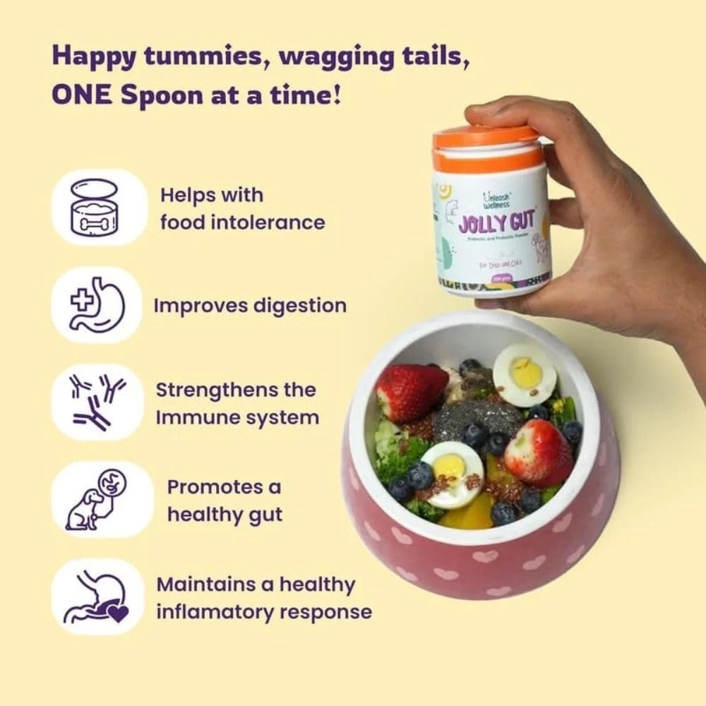 مکمل پری بیوتیک و پروبیوتیک جولی گات، سگ و گربه، پشتیبانی از اسهال و روده، بهبود هضم، ایمنی، آنزیم های گوارشی برای فلور روده، مناسب برای همه نژادها و سنین 200 گرم