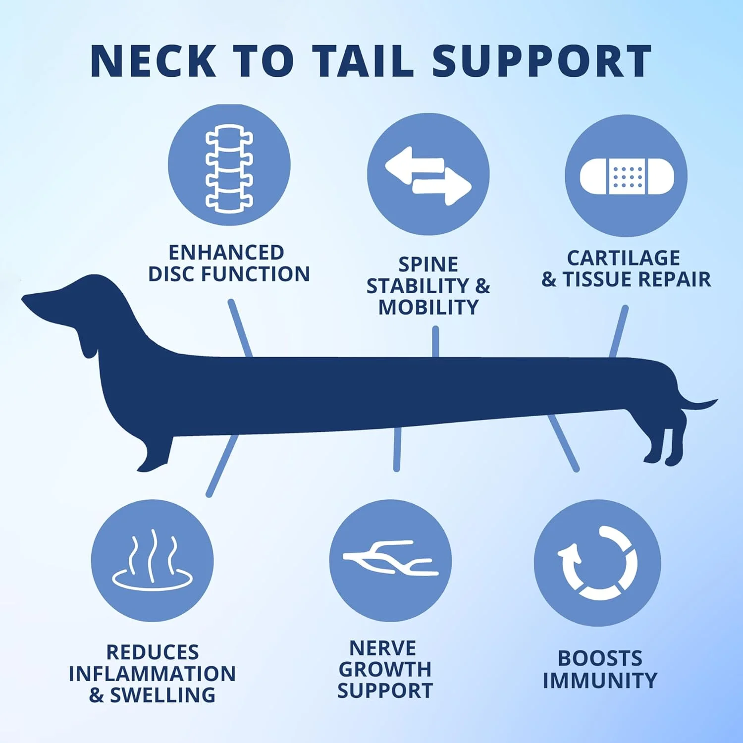 قرص های جویدنی سلامت دیسک و ستون فقرات سگ های خانگی | مکمل حمایت از دیسک ستون فقرات سگ با فرمولاسیون دامپزشکی | ایده آل برای نژادهای پاگ، بولداگ فرانسوی، داشهوند و نژادهای دارای کمر بلند با IVDD | 60 عدد
