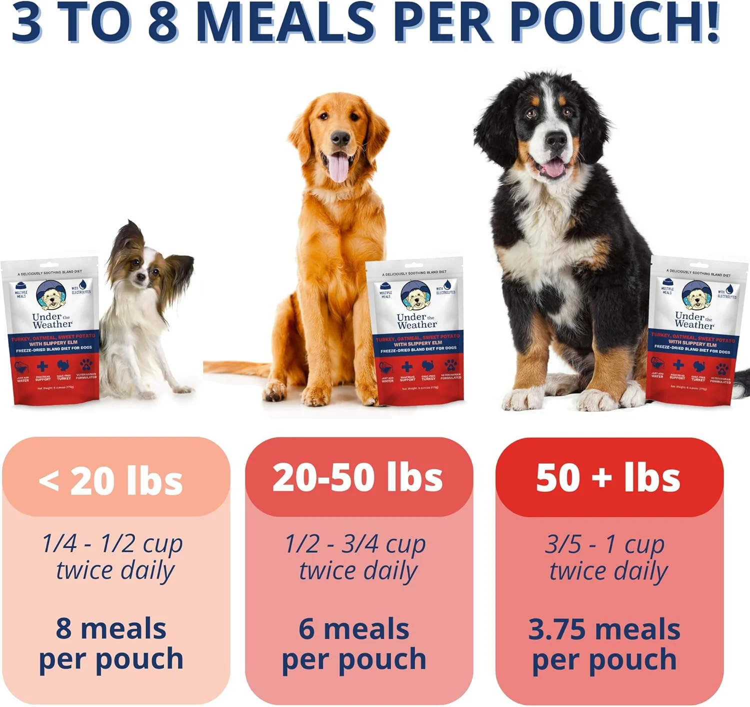 غذای رژیمی ملایم برای سگ های بیمار | هضم آسان و پشتیبانی از معده برای سگ های بیمار | حاوی الکترولیت ها، کاملا طبیعی | 1 بسته - بوقلمون، جو دوسر، سیب زمینی شیرین و نارون لغزنده - 170 گرم