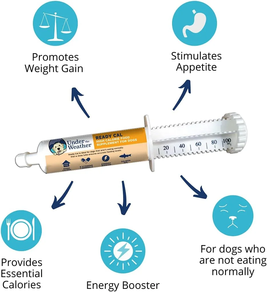 مکمل غذایی پر کالری سگ ردی کل، 100 سی سی | افزایش وزن و تقویت کننده پر کالری | حاوی 10 ویتامین، 7 ماده معدنی و اسیدهای چرب امگا