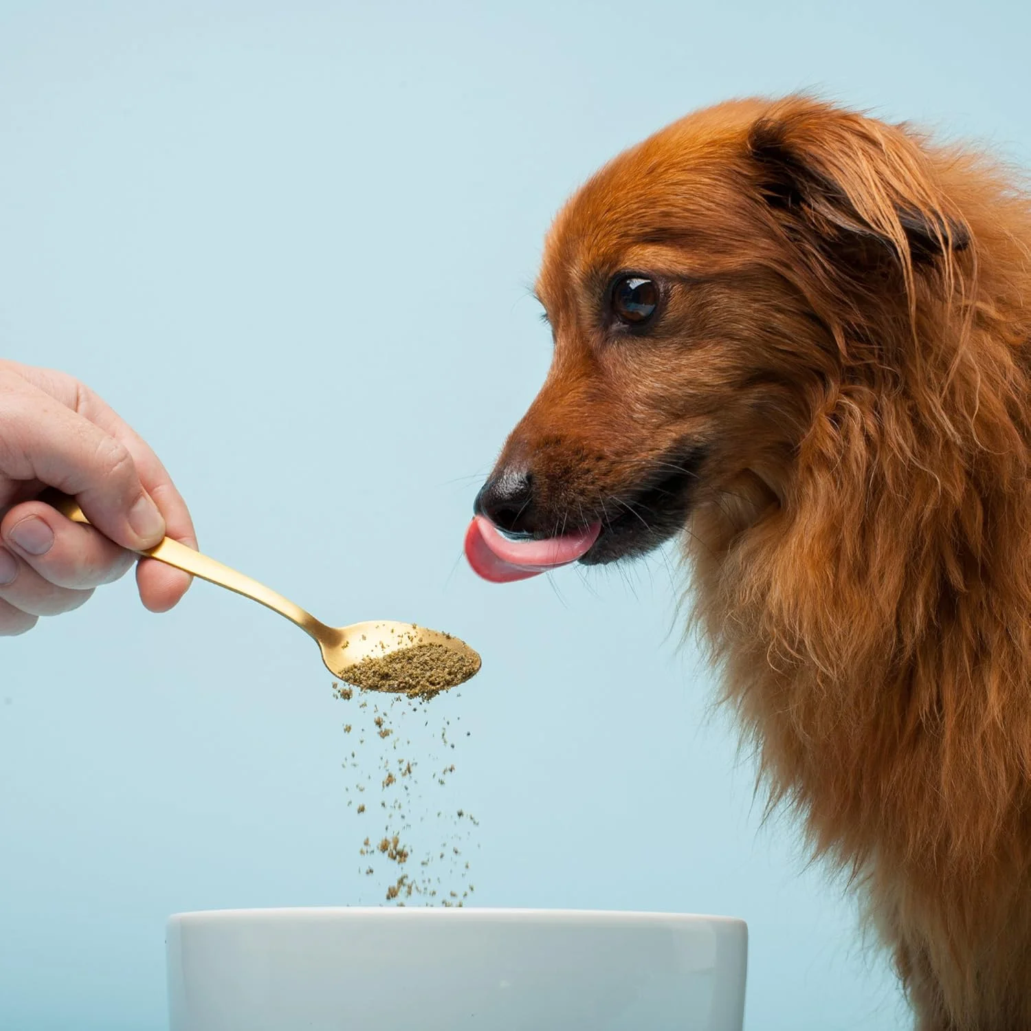 مکمل جلبک دریایی ارگانیک حیوانات خانگی - فرمول پروبیوتیک - سایز بزرگ