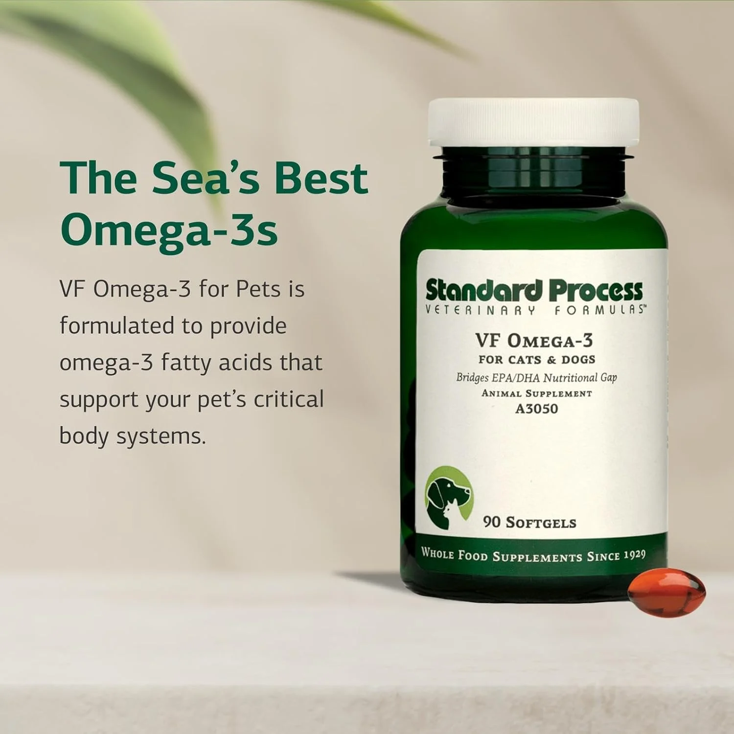 مکمل غذایی وی اف امگا 3 مخصوص حیوانات خانگی استاندارد پروسس - حاوی اسیدهای چرب امگا 3 - پشتیبانی از رشد استخوان، سلامت سیستم ایمنی و سلامت قلب - مکمل روغن ماهی برای حیوانات خانگی - 90 سافت ژل