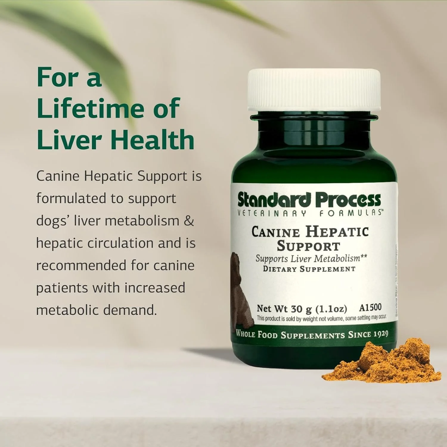 مکمل پشتیبانی کبدی سگ Standard Process - مکمل سگ برای کمک به سلامت کبد - عملکرد ایمنی کبد و مکمل پشتیبانی از متابولیسم کبد - مکمل پودری برای سگ ها - 30 گرم