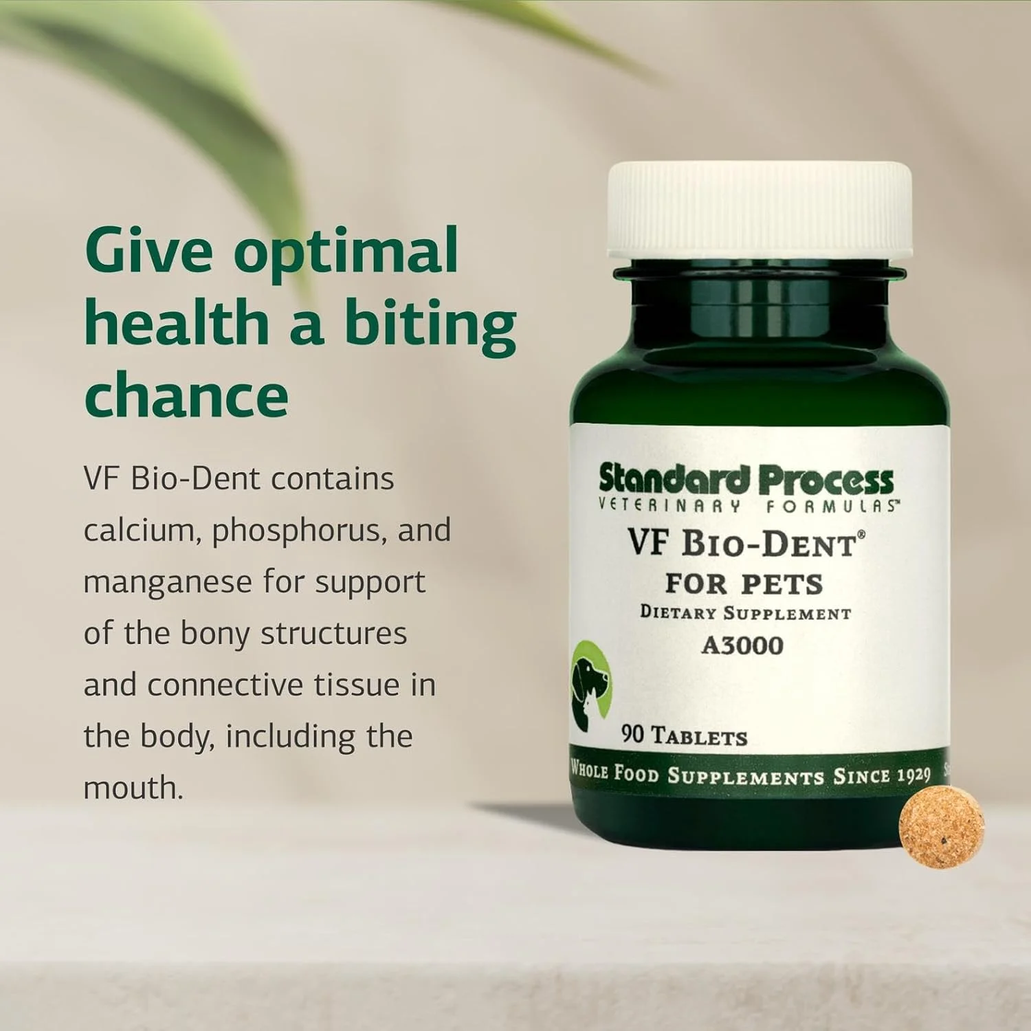 VF Bio-Dent Standard Process برای حیوانات خانگی - 90 قرص