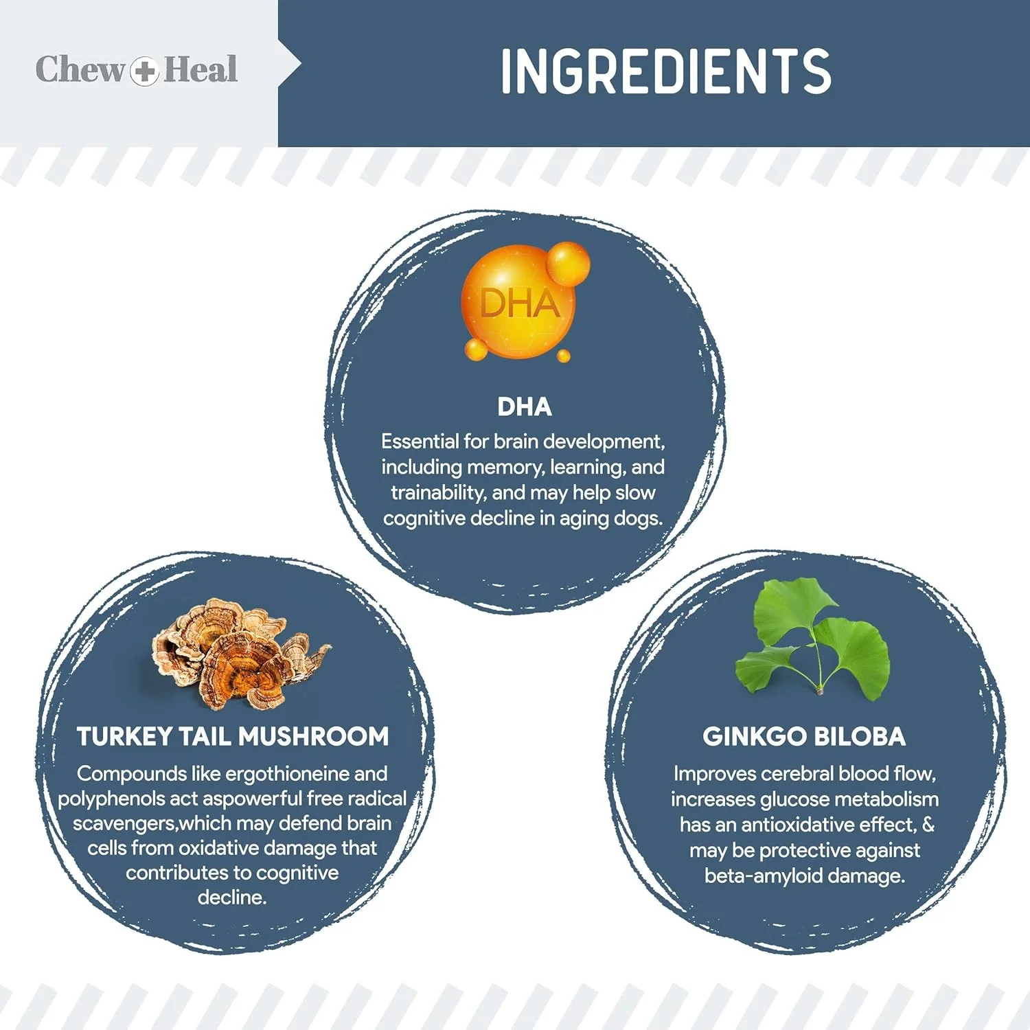 تشویقی های جویدنی برای تقویت بینایی و قوای شناختی سگ های مسن - 60 عدد تشویقی نرم برای مراقبت از چشم و حافظه سگ - مولتی ویتامین 7 در 1 با اسیدهای چرب امگا، ویتامین ها و گیاهان - ساخت آمریکا