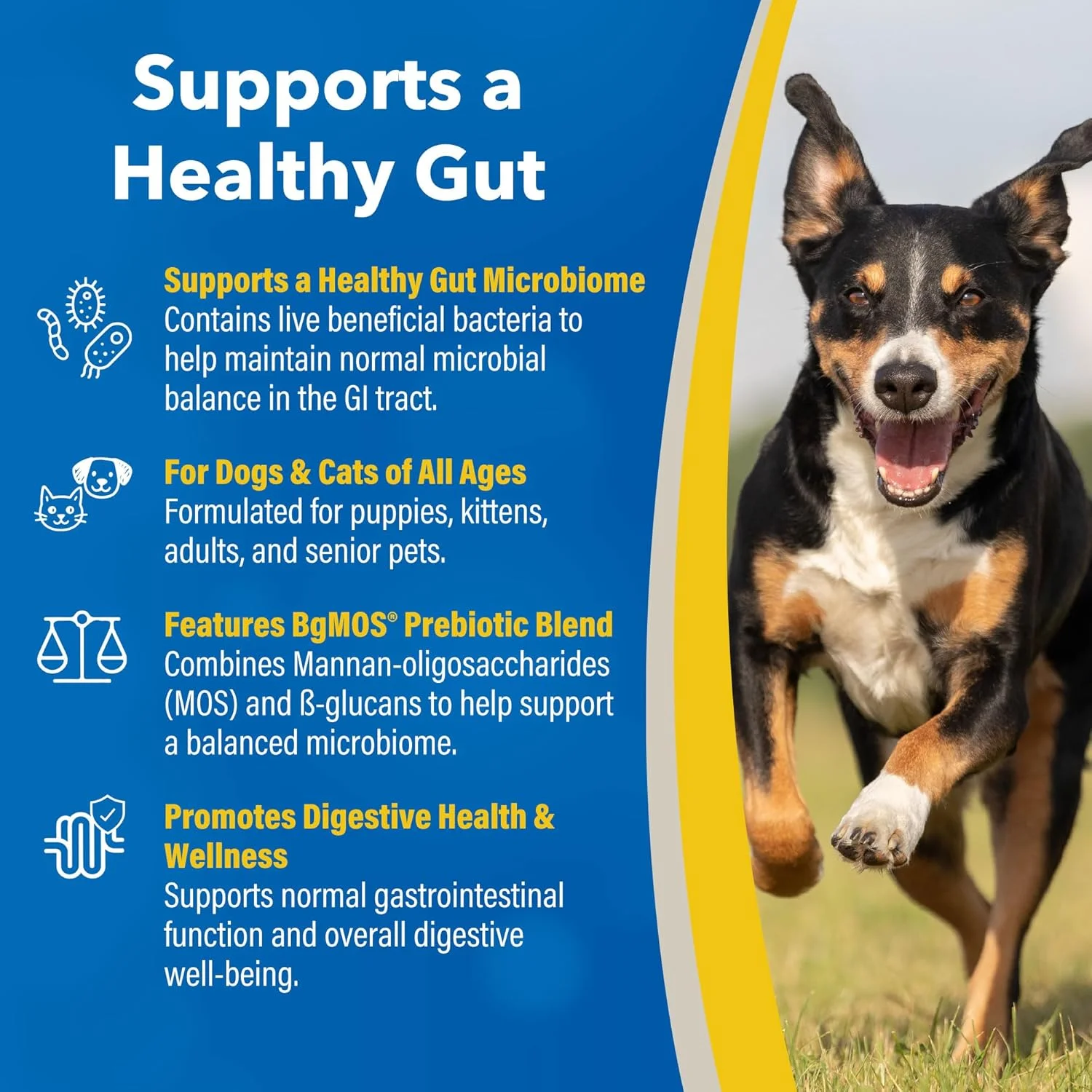 مکمل سینبیوتیک دستگاه گوارش حیوانات ریوایول هلث داک روی - پروبیوتیک و پری‌بیوتیک - برای سگ و گربه - گرانول ۴۵۴ گرمی