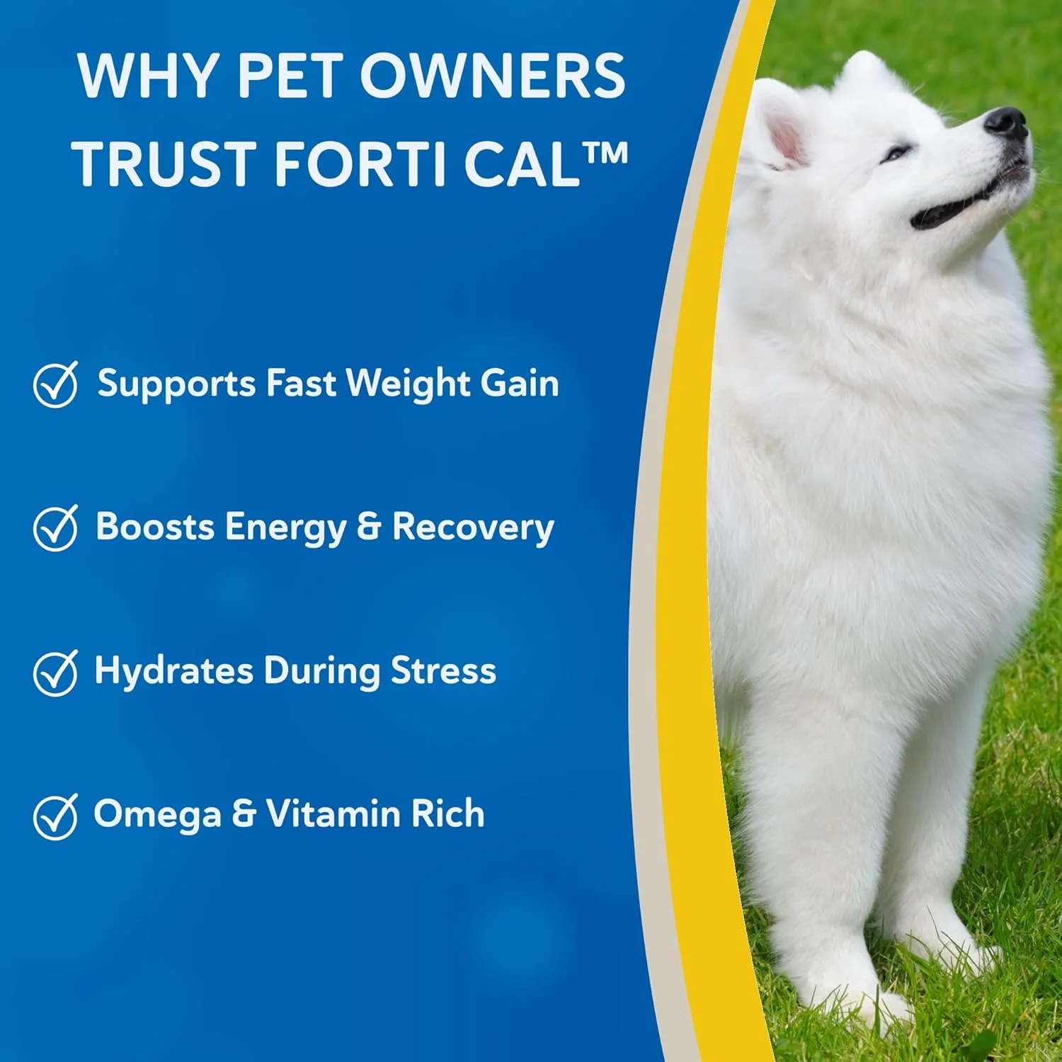 مکمل مایع انرژی‌زای مغذی و پرکالری Forti Cal با طعم وانیل Doc Roy's Revival Animal Health - حجم ۱ گالن