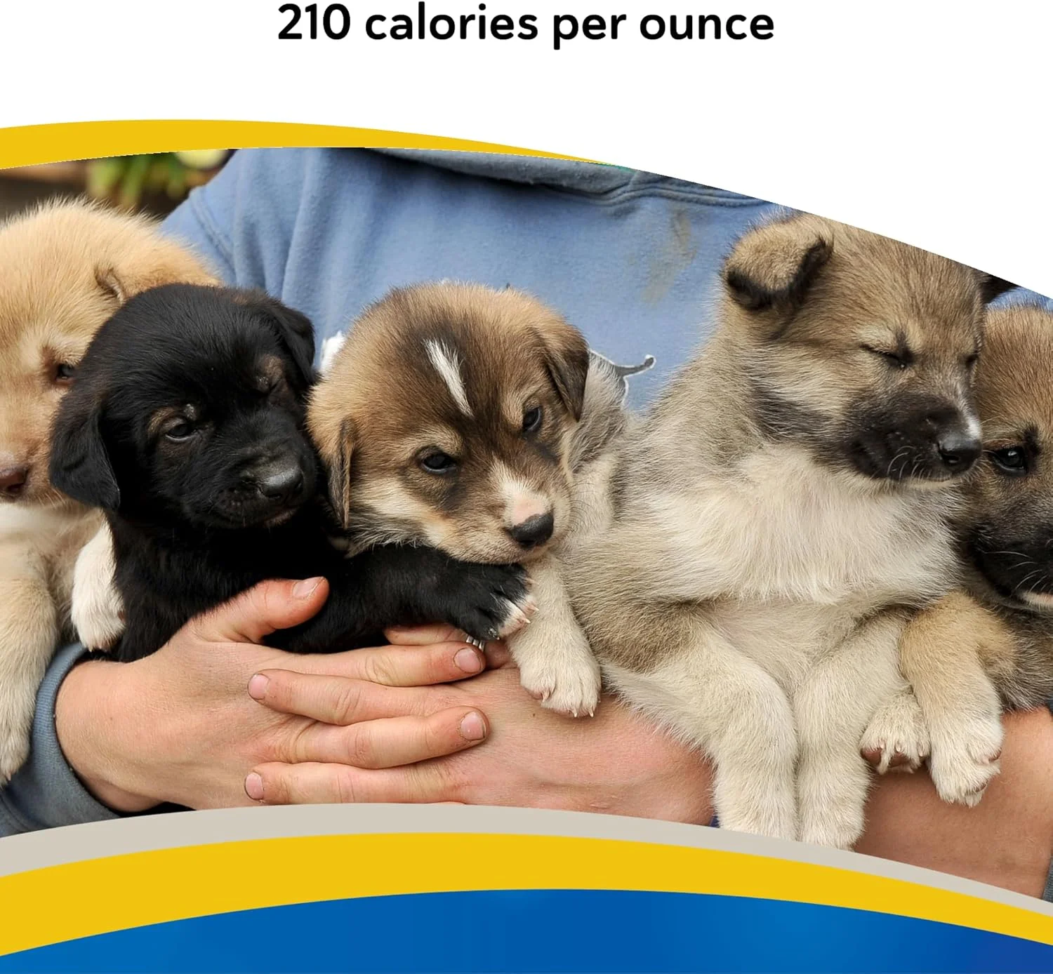 مکمل مایع انرژی‌زای مغذی و پرکالری Forti Cal با طعم وانیل Doc Roy's Revival Animal Health - حجم ۱ گالن