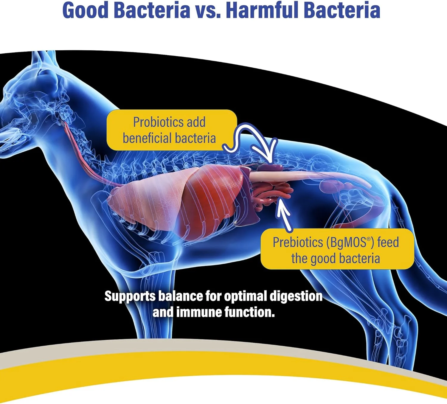 ژل سین‌بیوتیک دستگاه گوارش حیوانات خانگی Doc Roy's - مکمل پروبیوتیک و پری‌بیوتیک برای سگ و گربه - ژل 15 میلی لیتری