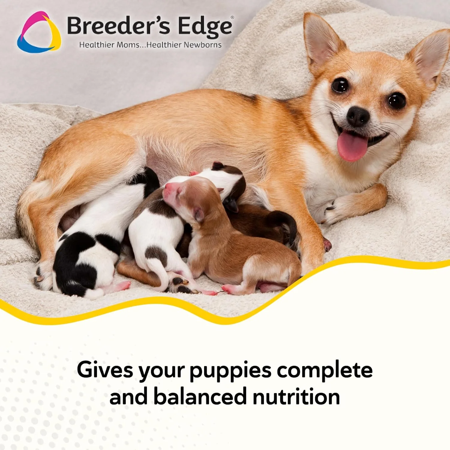 جایگزین شیر خشک سگ و توله سگ Breeder's Edge Foster Care Animal Health - وزن ۳۴۰ گرم