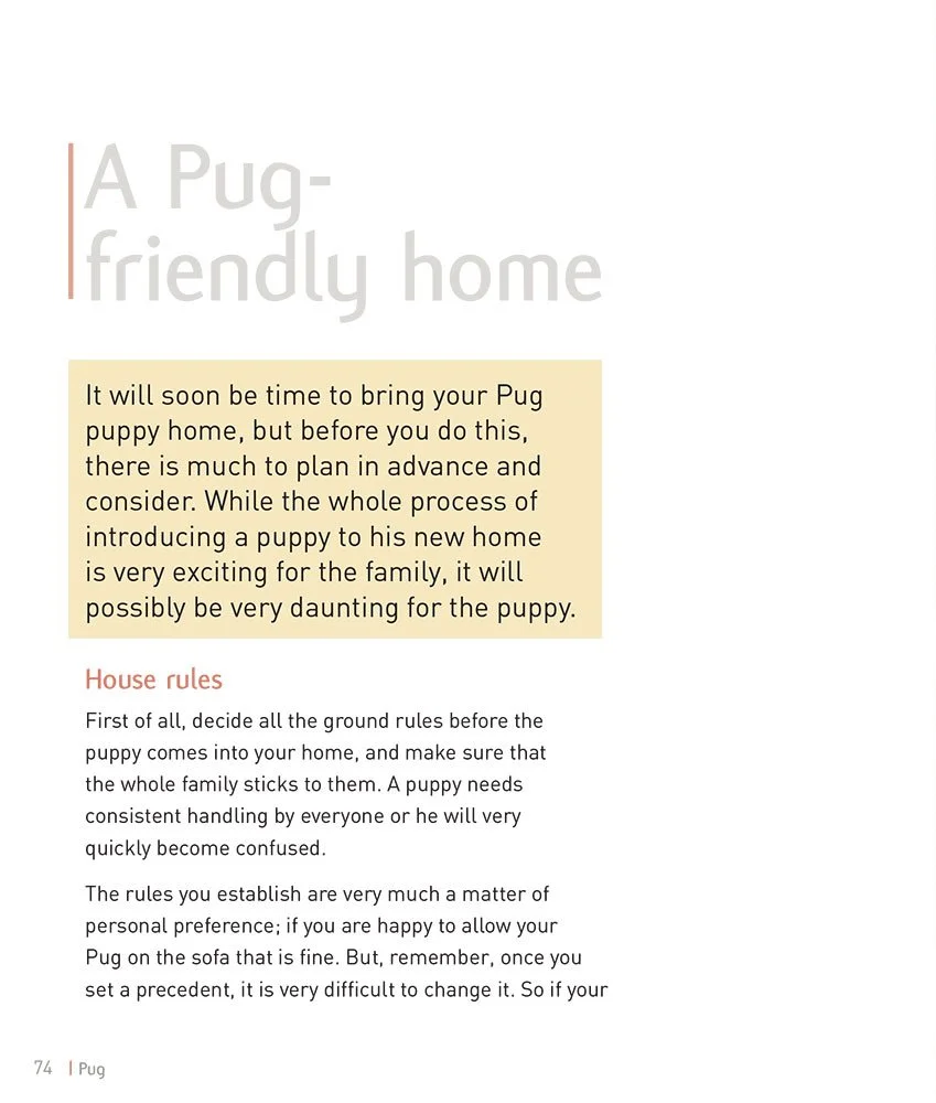 پاگ - متخصص سگ