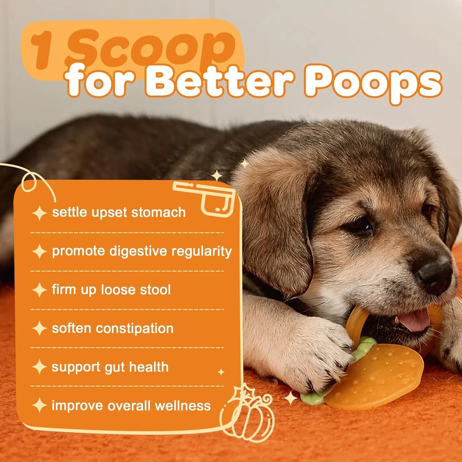 پودر کدو تنبل برای سگ ها و گربه ها، فیبر طبیعی حاوی سیب، پروبیوتیک برای سلامت دستگاه گوارش، کمک به رفع اسهال و یبوست، با اضافه کردن آب پوره کدو تنبل درست کنید، 300 گرم