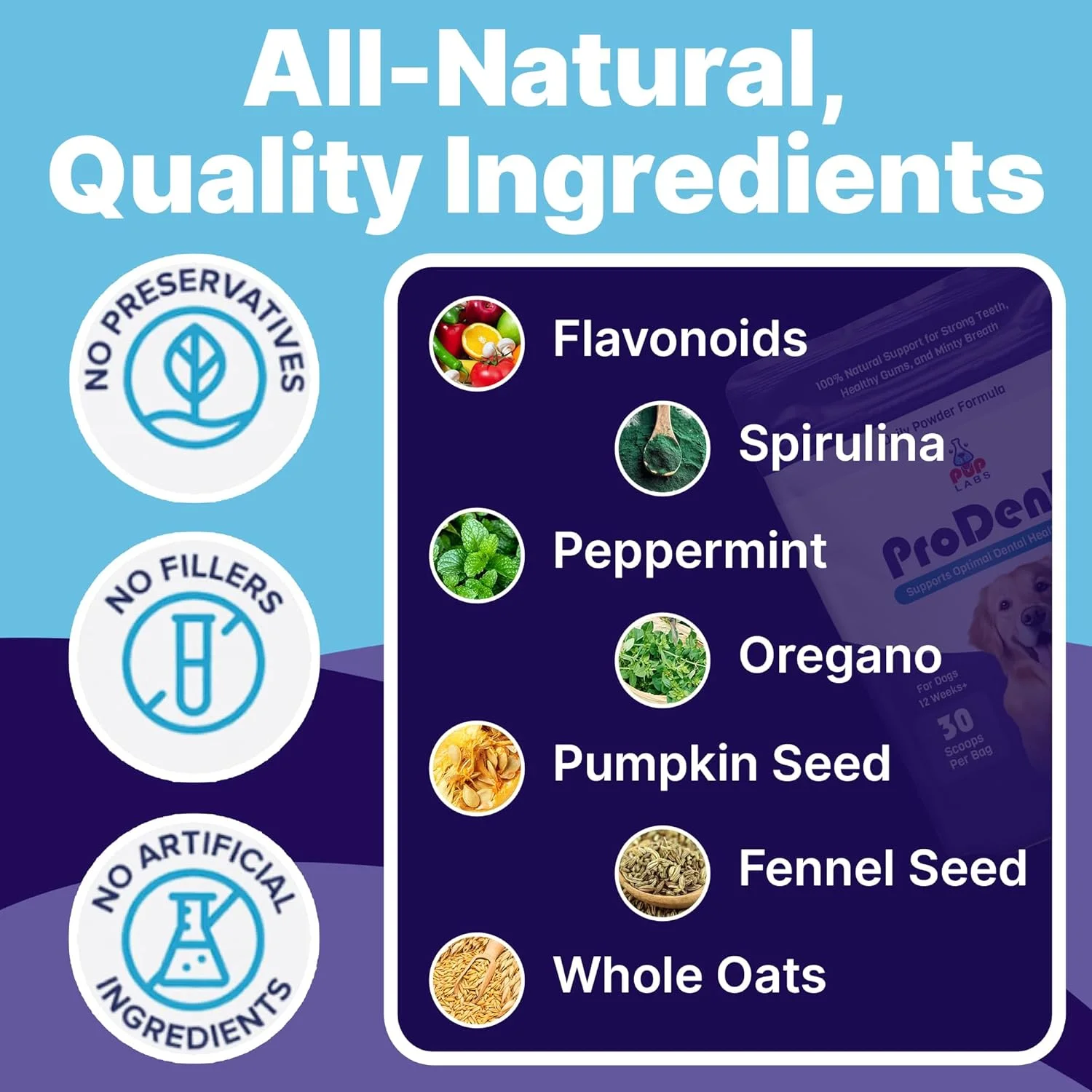 پودر دندان سگ ProDenta، کاملا طبیعی برای تمیز کردن دندان ها و خوشبو کننده نفس. استفاده آسان برای از بین بردن جرم و لثه های آسیب پذیر. ساخت آمریکا، 30 سروینگ