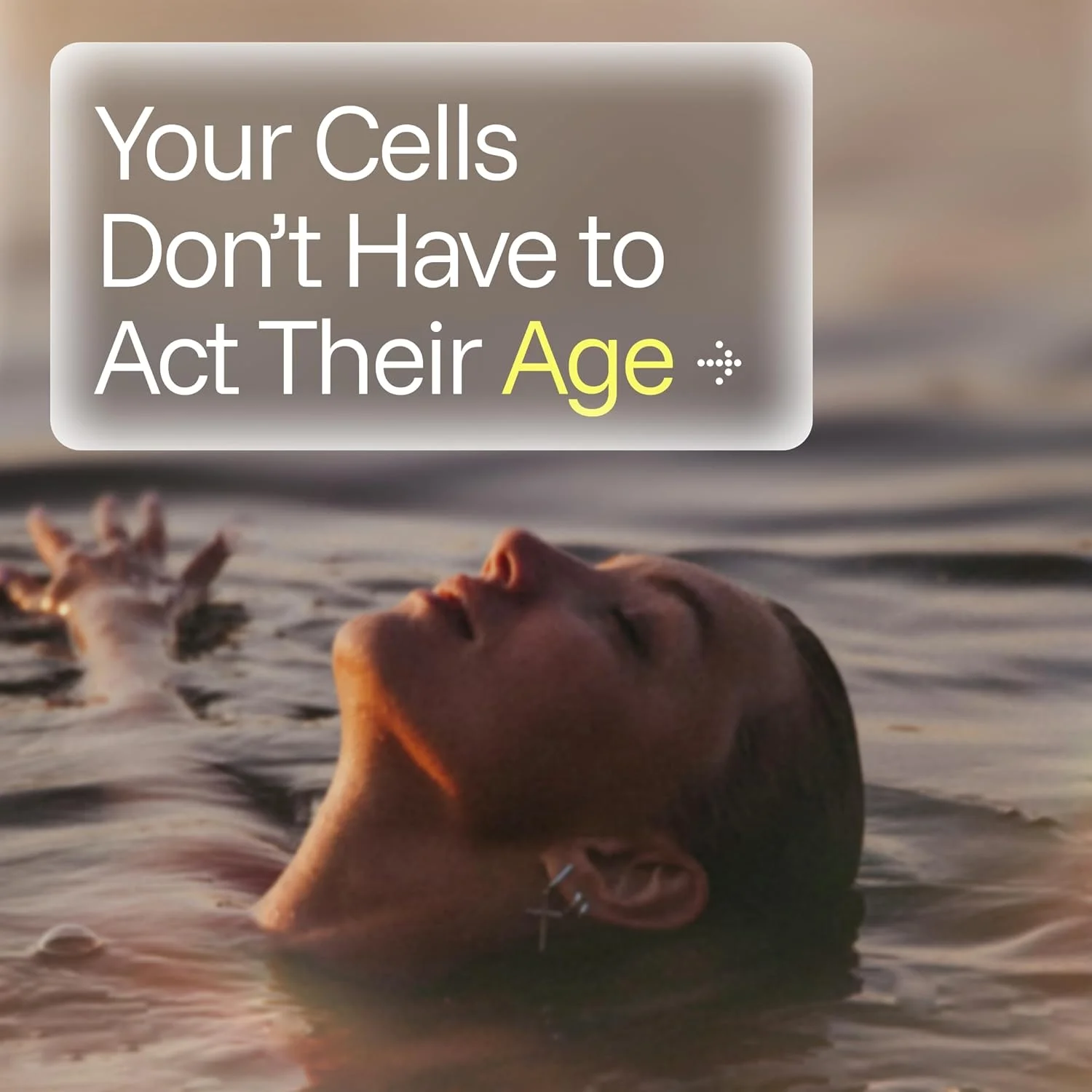 پودر ترانس رسوراترول ProHealth Longevity فله ای ۱۰۰ گرم - درجه خلوص دارویی، ۱۰۰۰ میلی گرم در هر پیمانه، جذب و فراهمی زیستی برتر