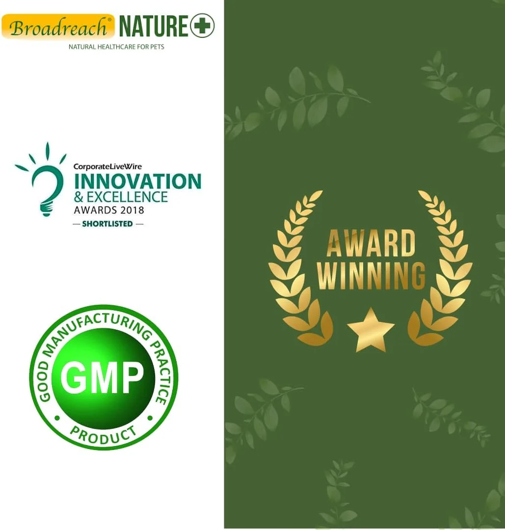 پروبیوتیک برای سگ ها و گربه ها، فرمول پیشرفته دامپزشکی 30 میلی لیتر - برای حمایت از ناراحتی های گوارشی حساس - مواد طبیعی در سرنگ کالیبره شده با کاربری آسان