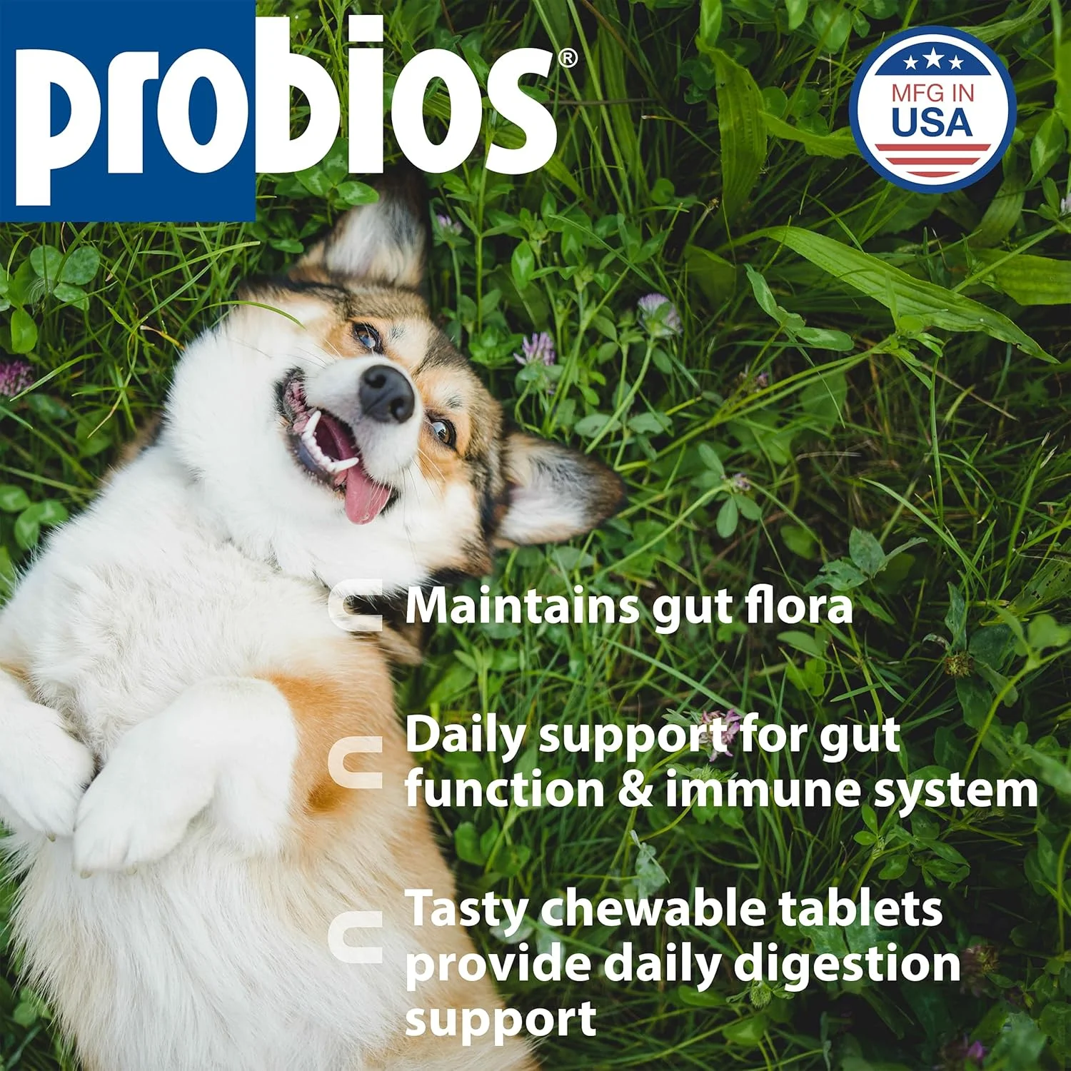 قرص های پروبیوس® برای بهبود گوارش سگ (45 عدد قرص جویدنی) قرص های پروبیوس® برای بهبود گوارش سگ (45 عدد قرص جویدنی)