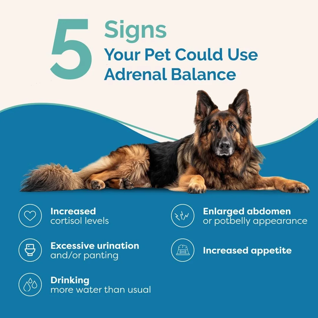 تعادل آدرنال پراناپتز برای سگ ها با مشکلات هورمونی | تسکین طبیعی علائم در سگ ها | فرمول گیاهی برای سگ ها