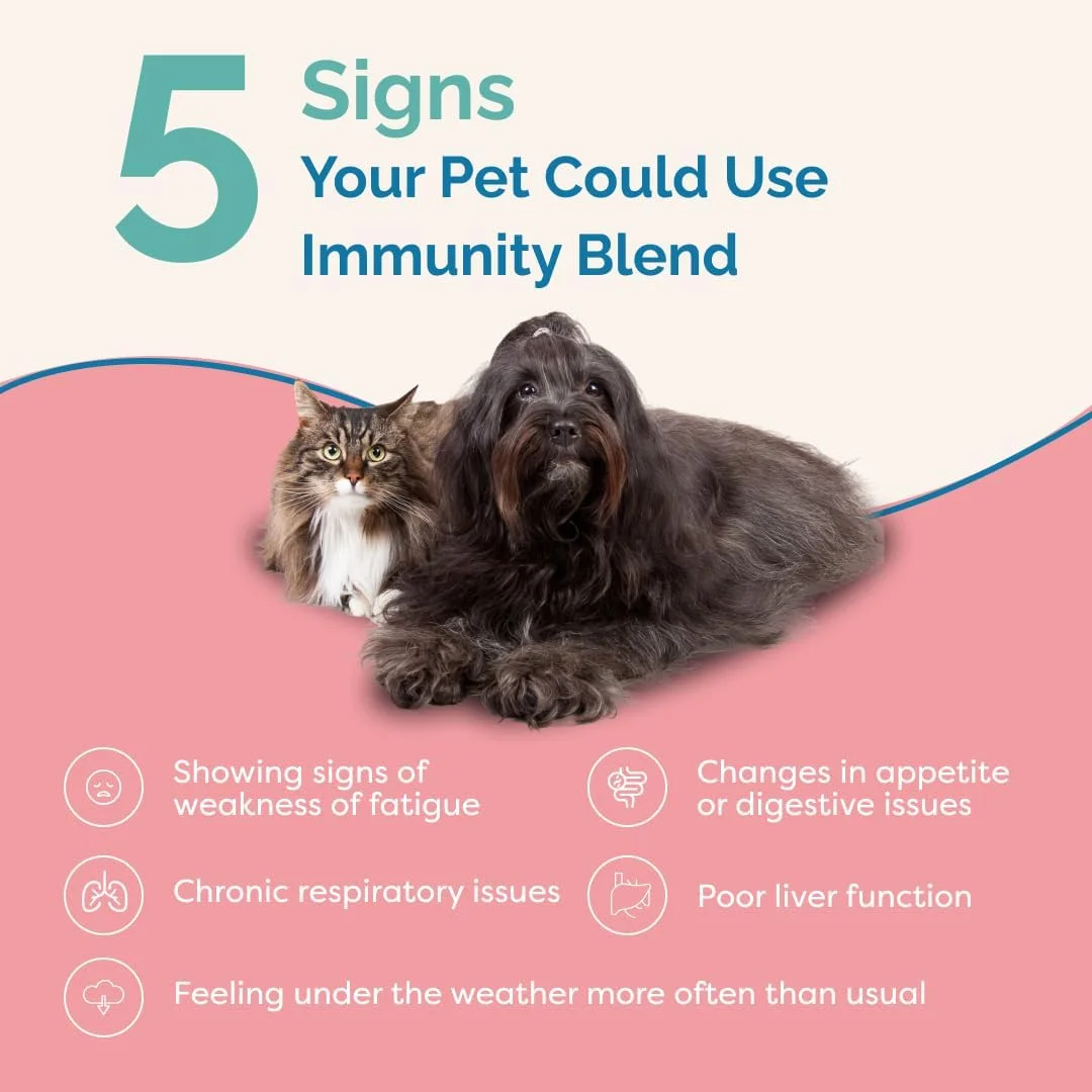 مکمل حیوانی PranaPets C Support به طور طبیعی به رفع خستگی و ضعف در سگ ها و گربه ها کمک می کند | فرمول گیاهی به طور ایمن به افزایش انرژی، اشتهای طبیعی و تقویت سیستم ایمنی کمک می کند