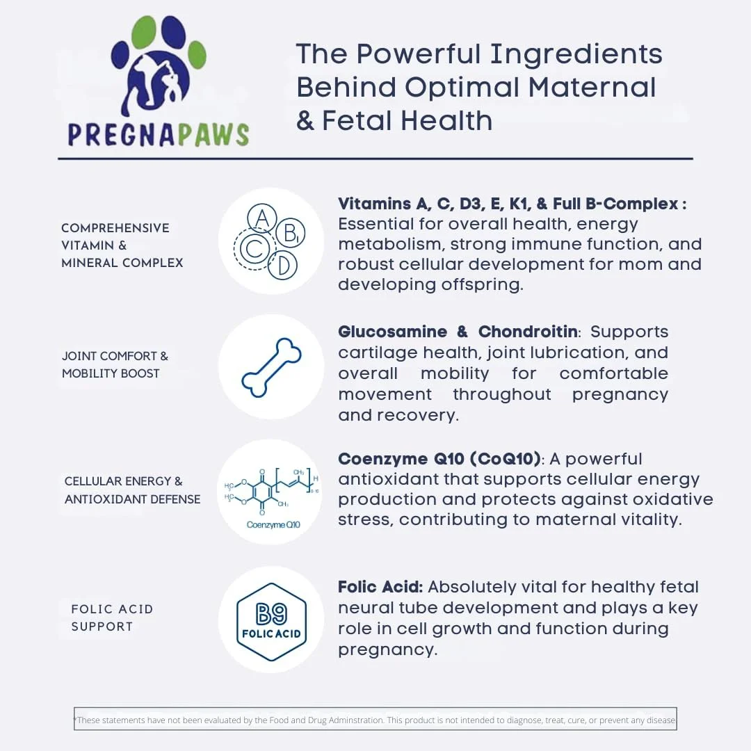 ویتامین های دوران بارداری برای سگ و گربه - مکمل قبل و بعد از زایمان با پروبیوتیک ها، گلوکوزامین، MSM، CoQ10 و ویتامین های ضروری - پشتیبانی از بارداری، شیردهی و بهبودی - 90 عدد جویدنی نرم (طعم ماهی سالمون)