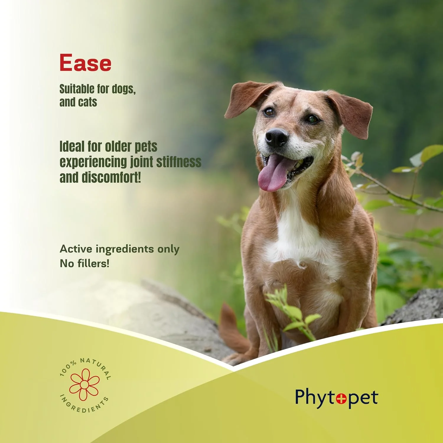 فیتوپت ایز، ۱۰۰ میلی لیتر