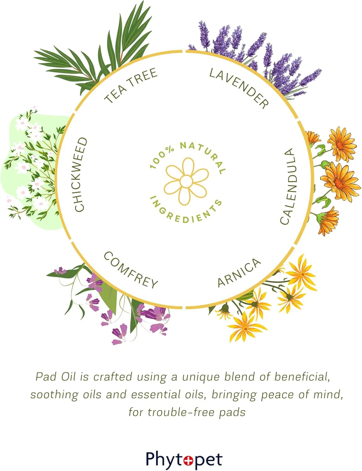 روغن پد فیتوپت، 30 میلی لیتر