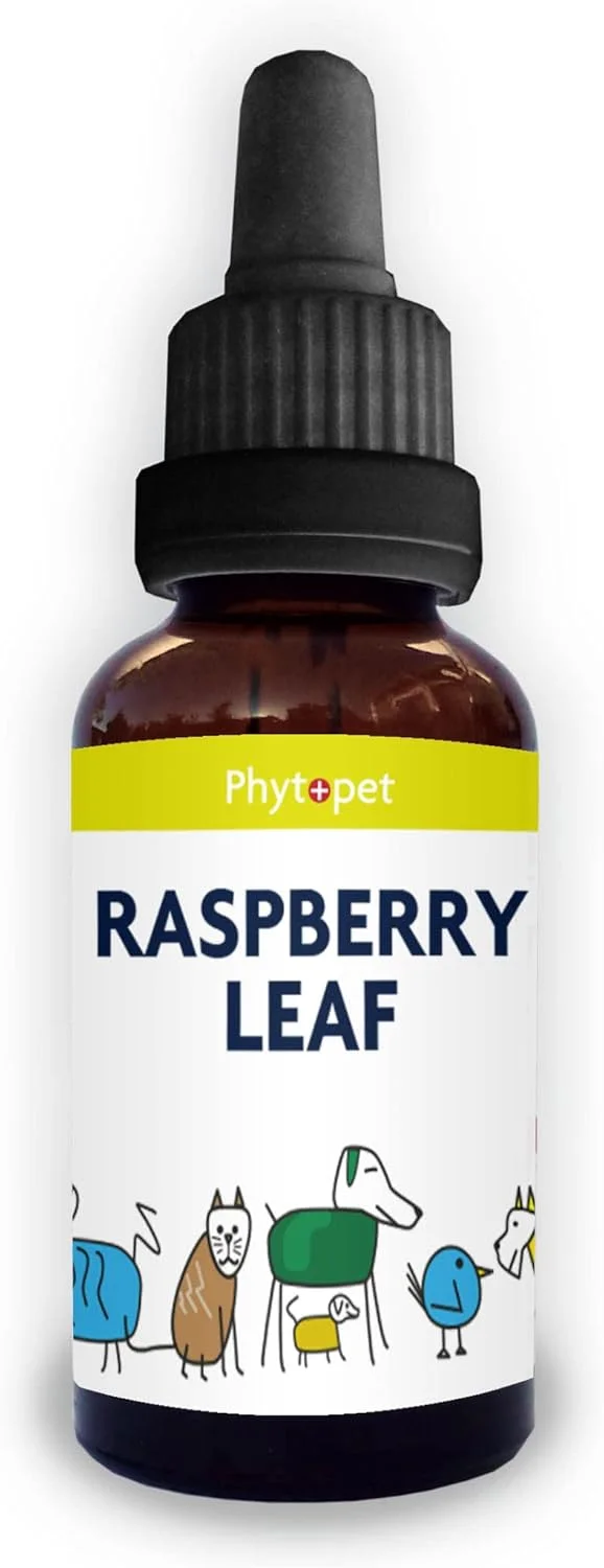 برگ تمشک فیتوپت | درمان گیاهی 100% طبیعی | پشتیبانی طبیعی در دوران بارداری | سگ، گربه، اسب، پرنده، حیوان خانگی | 30 میلی لیتر