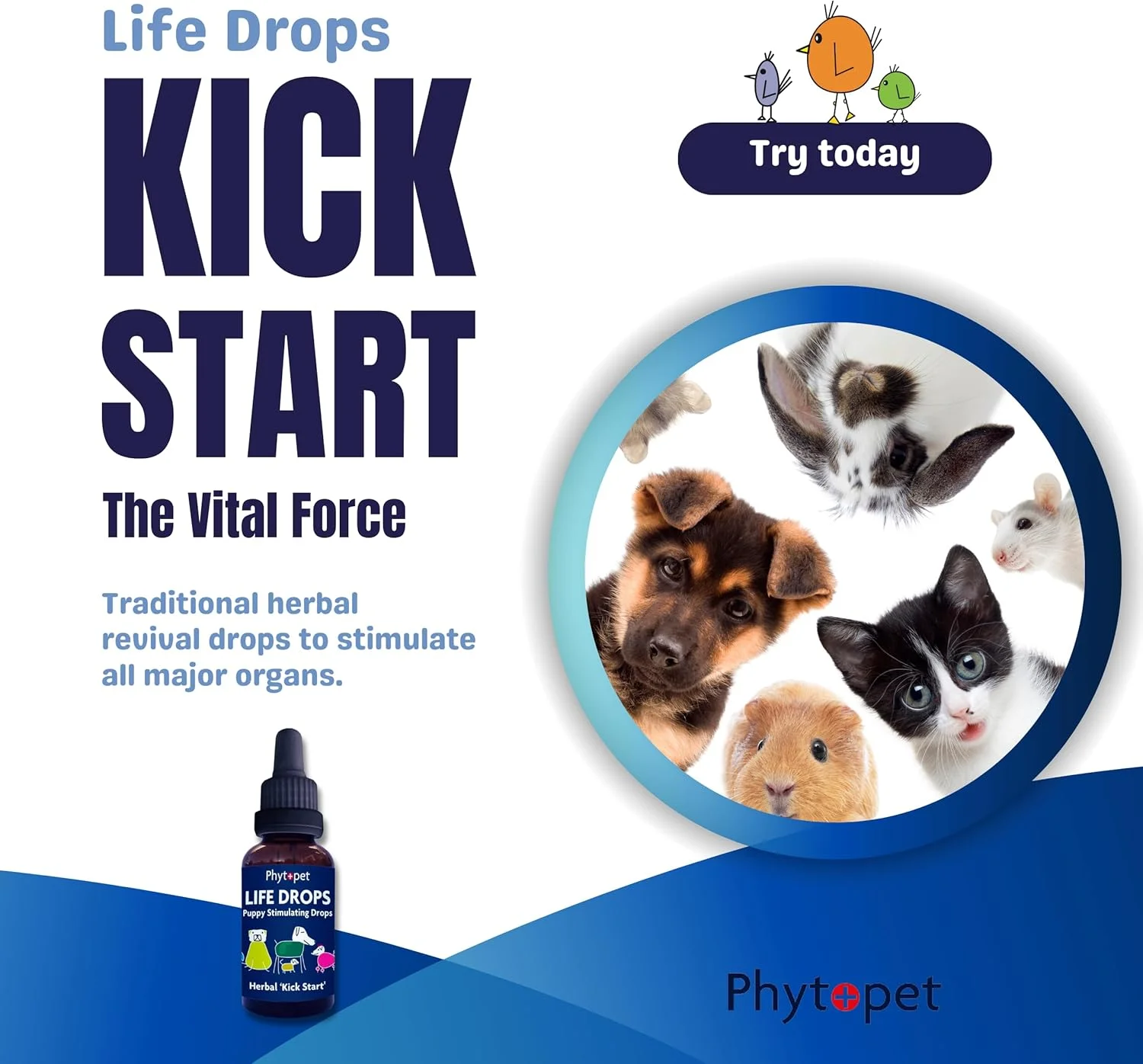 قطره محرک حیات توله سگ فیتوپت 10 میلی لیتر قطره محرک حیات توله سگ فیتوپت 10 میلی لیتر