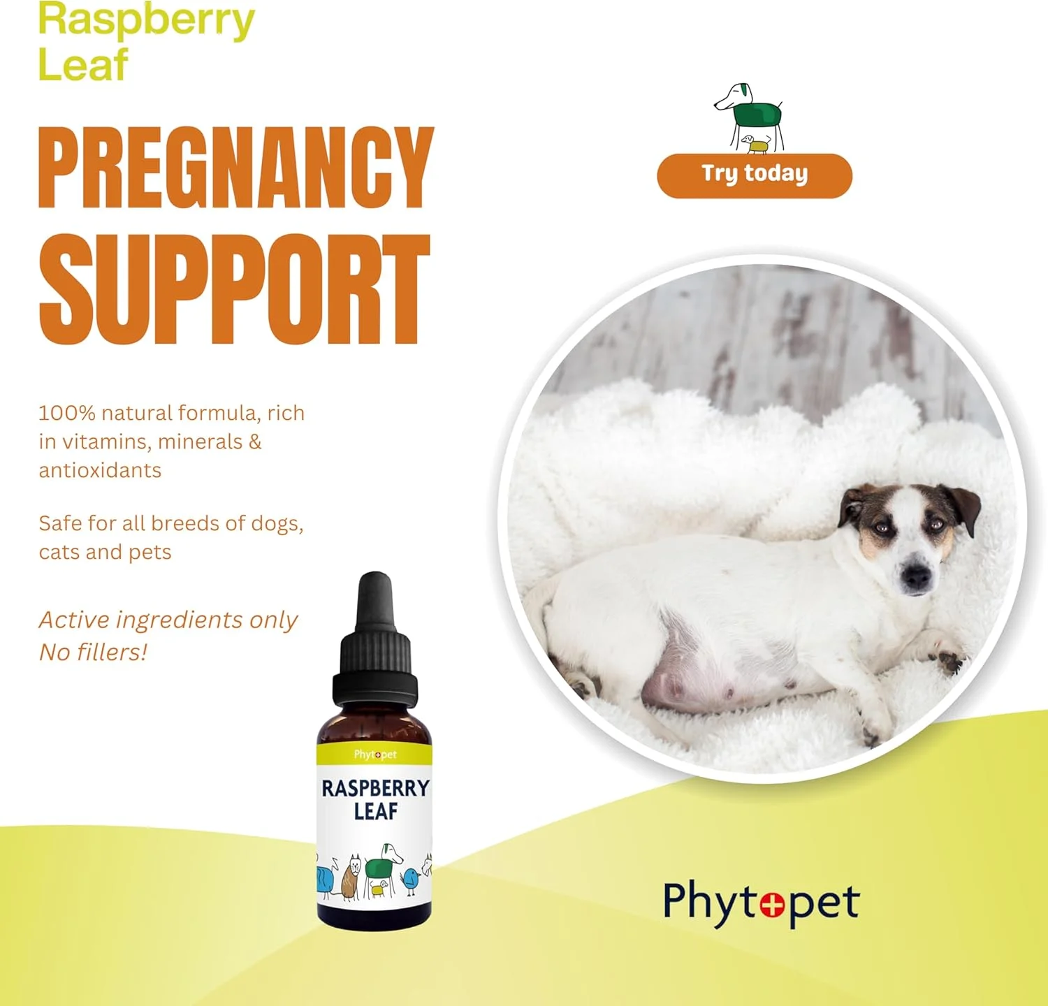 برگ تمشک فیتوپت | درمان گیاهی 100% طبیعی | پشتیبانی طبیعی در دوران بارداری | سگ، گربه، اسب، پرنده، حیوان خانگی | 30 میلی لیتر