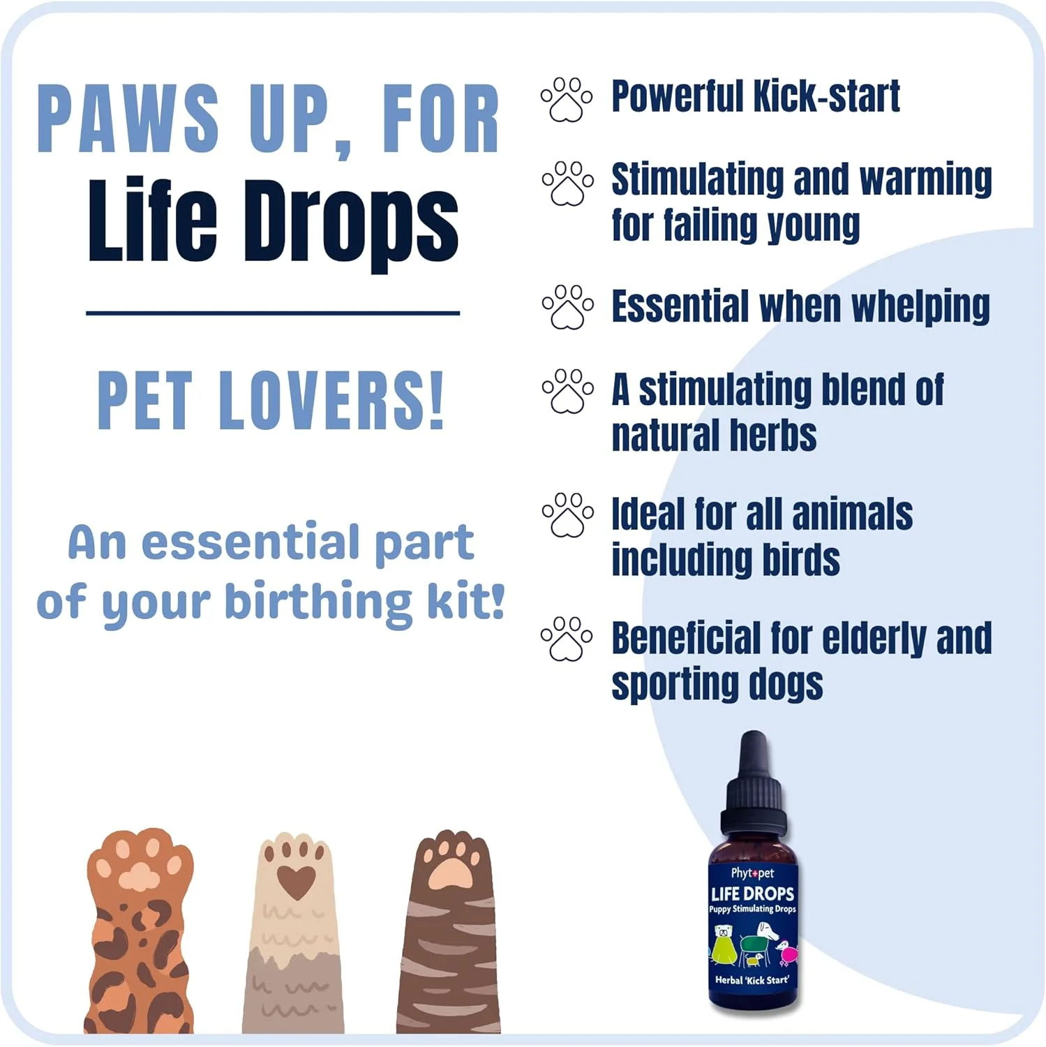 قطره محرک حیات توله سگ فیتوپت 10 میلی لیتر قطره محرک حیات توله سگ فیتوپت 10 میلی لیتر