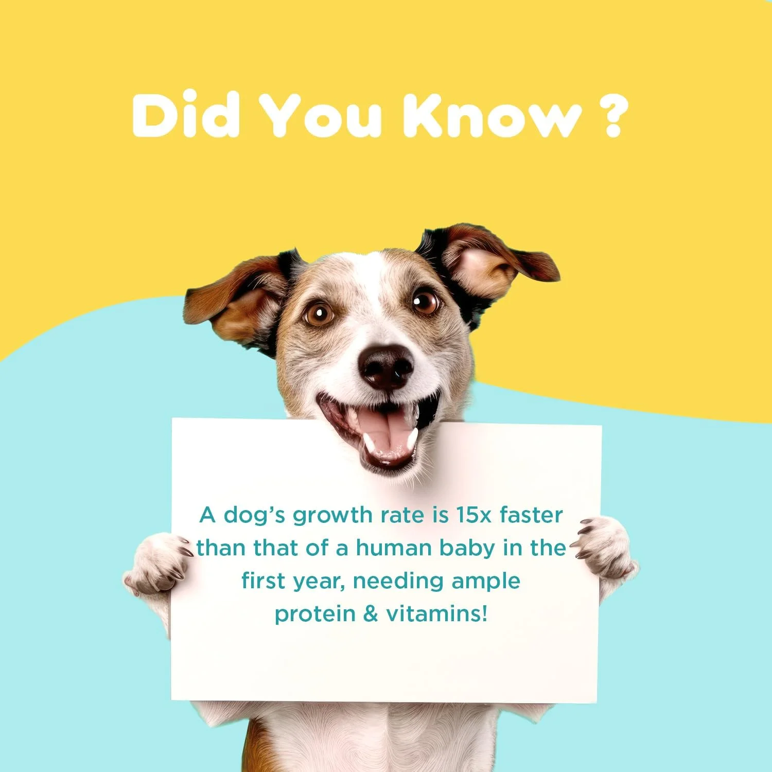 شربت رشد حیوانات خانگی پایل پت برای سگ و گربه 200 میلی لیتر حاوی آمینو اسید، مولتی ویتامین، مواد معدنی و تورین، فرمول پیشرفته پوست و مو، غنی شده با آرژنین و بیوتین