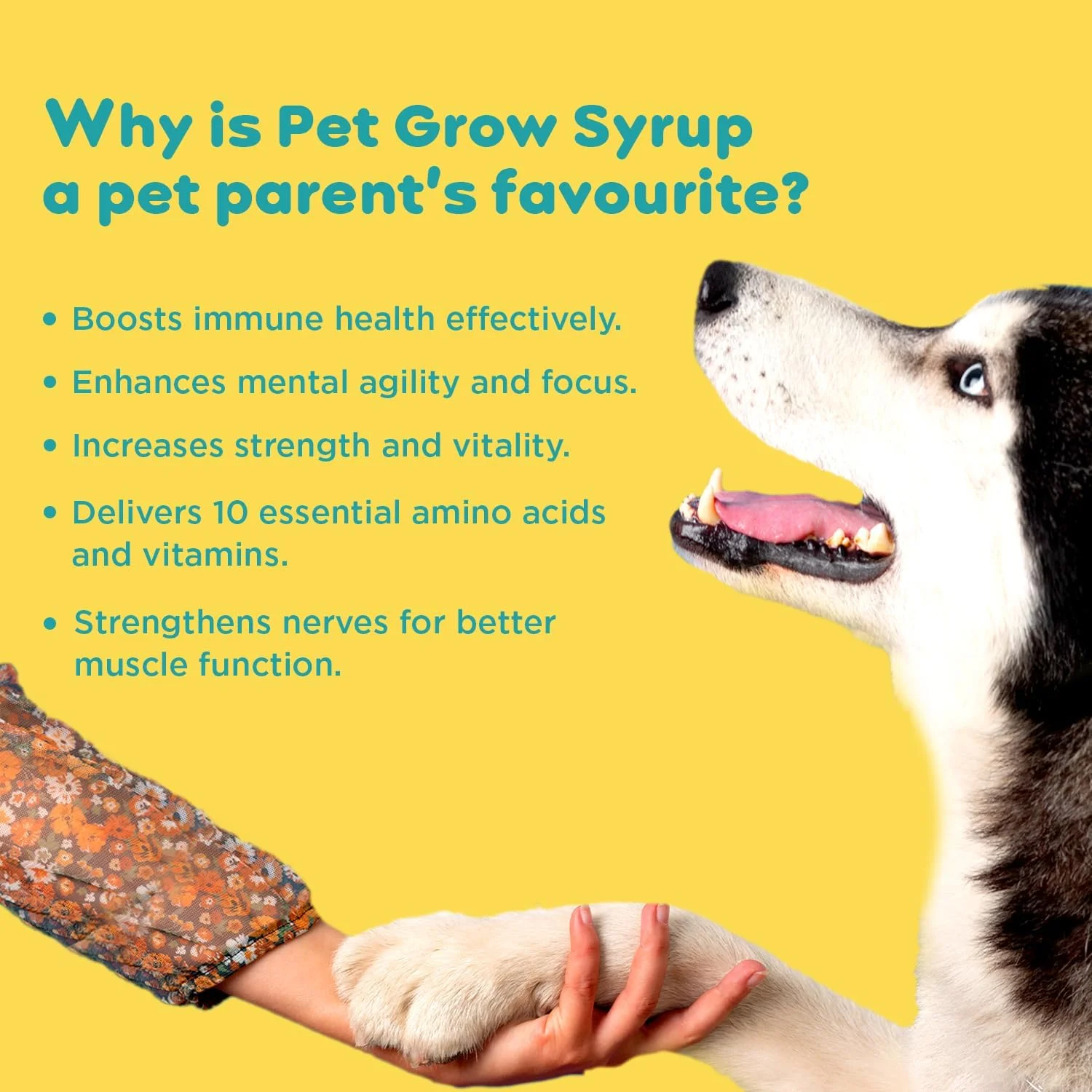 شربت رشد حیوانات خانگی پایل پت برای سگ و گربه 200 میلی لیتر حاوی آمینو اسید، مولتی ویتامین، مواد معدنی و تورین، فرمول پیشرفته پوست و مو، غنی شده با آرژنین و بیوتین