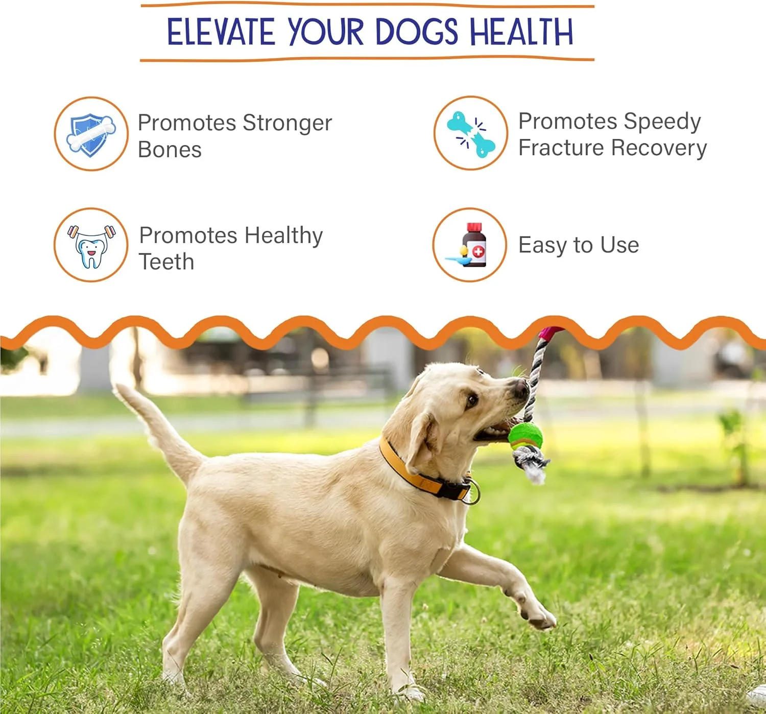 شربت کلسیم سگ پت ویت | کلسیم ضروری برای سگ ها | شربت کلسیم سگ برای استخوان های سالم | پشتیبانی از دندان های قوی | 100 میلی لیتر