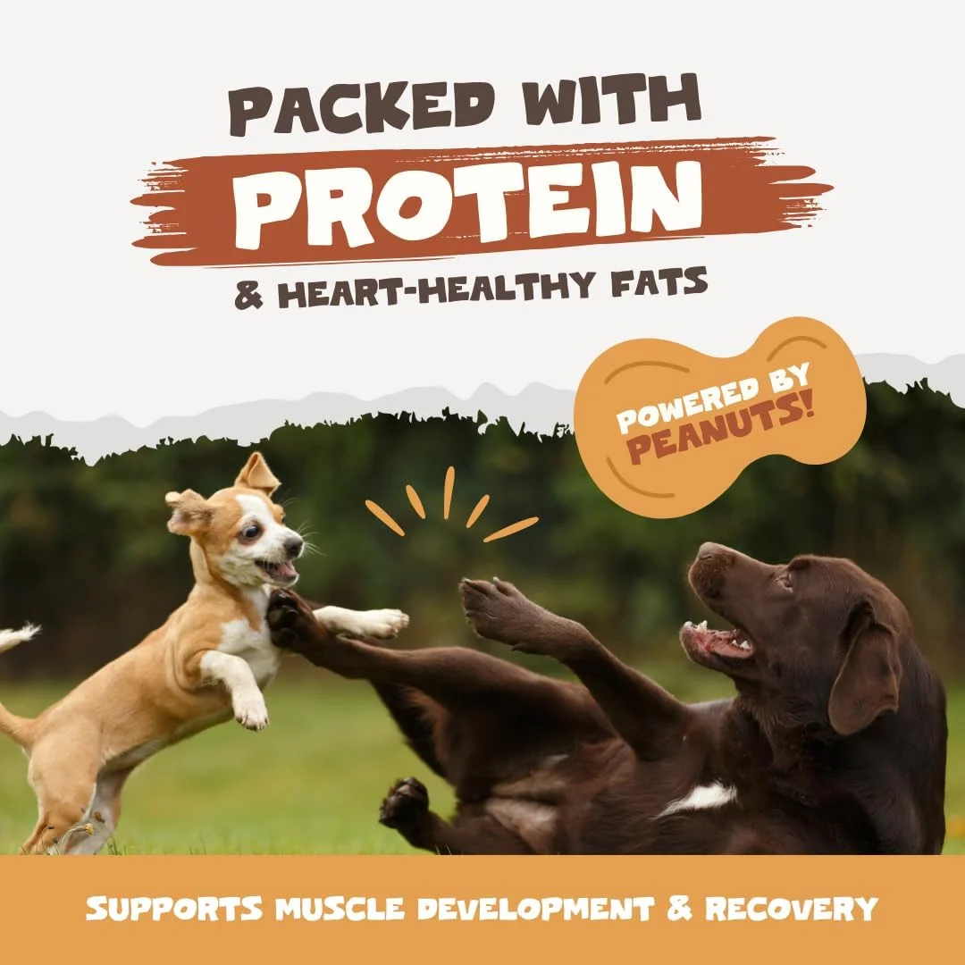 کره بادام زمینی طبیعی Pets Purest برای سگ ها - فرمول ویژه برای سگ ها بدون شکر، نمک یا زایلیتول افزوده - فاقد روغن پالم، گندم و گلوتن - منبع سالم پروتئین