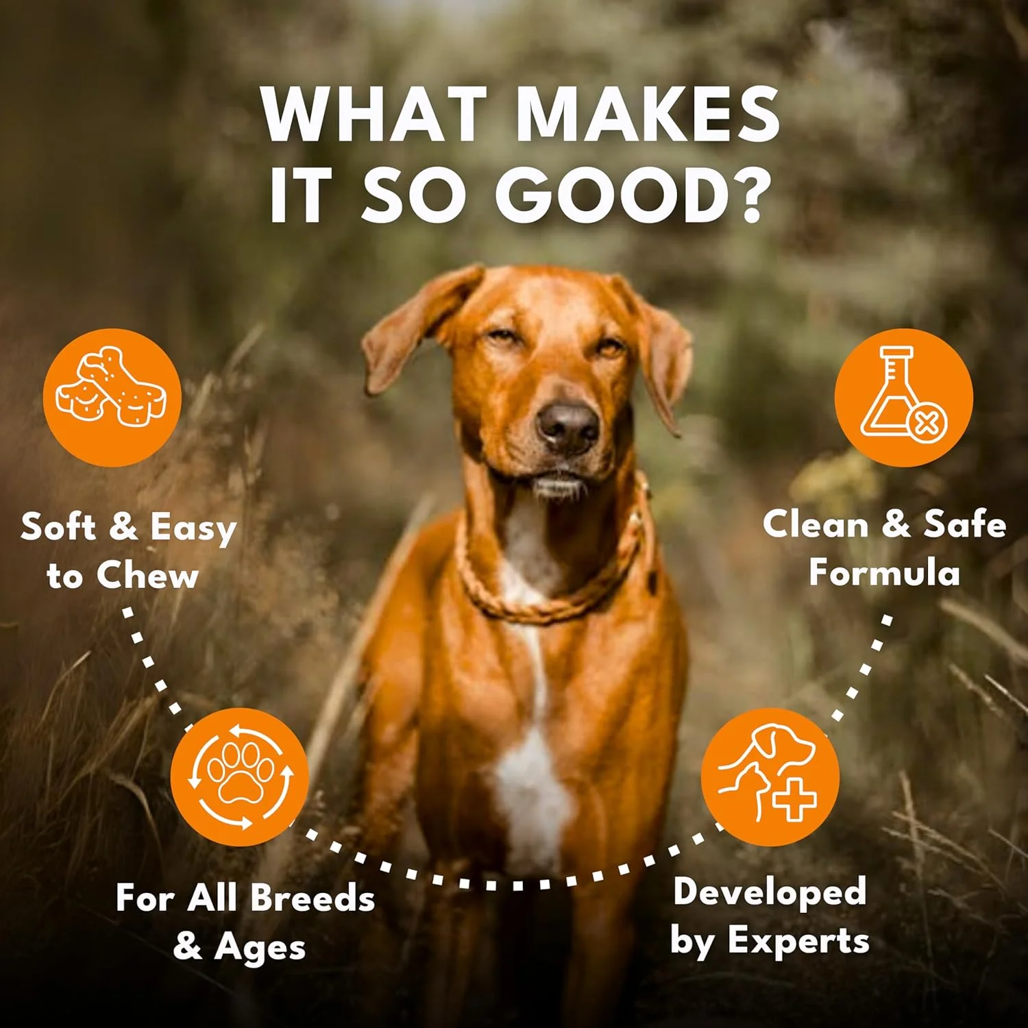 قرص های جویدنی مولتی ویتامین مخصوص سگ پت رویال - مکمل بهداشتی قرص سگ، مکمل های روزانه برای رشد، استقامت، قدرت، پوست و ایمنی 50 عددی (بسته 1 عددی)