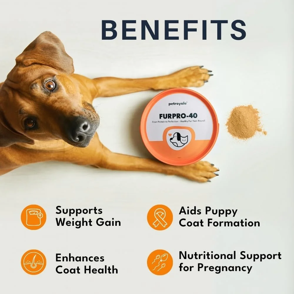 پودر پروتئین سگ Petroyale Furpro-40 - مکمل پوست و مو + کنترل ریزش مو - امگا 3 6 9 افزایش وزن عضله غذای رشد با طعم ماهی - 400 گرم - بسته 2 عددی