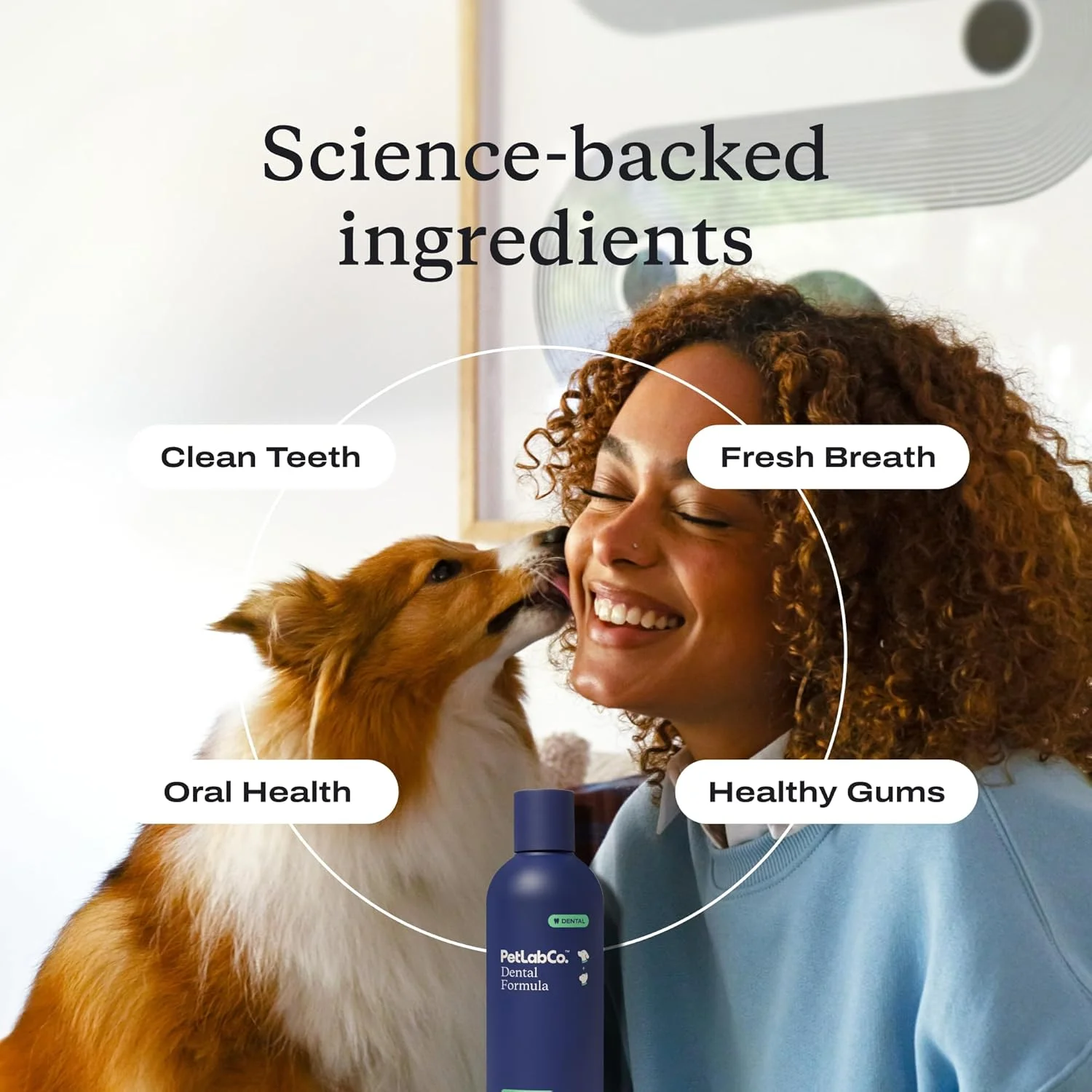 محلول بهداشت دهان و دندان سگ PetLab Co. - تنفس سگ را تازه و دندان ها را تمیز نگه می دارد - پشتیبانی از سلامت لثه - مراقبت از دندان با افزودنی به آب سگ - بسته بندی ممکن است متفاوت باشد محلول بهداشت دهان و دندان سگ PetLab Co. - تنفس سگ را تازه و دندان ها را تمیز نگه می دارد - پشتیبانی از سلامت لثه - مراقبت از دندان با افزودنی به آب سگ - بسته بندی ممکن است متفاوت باشد