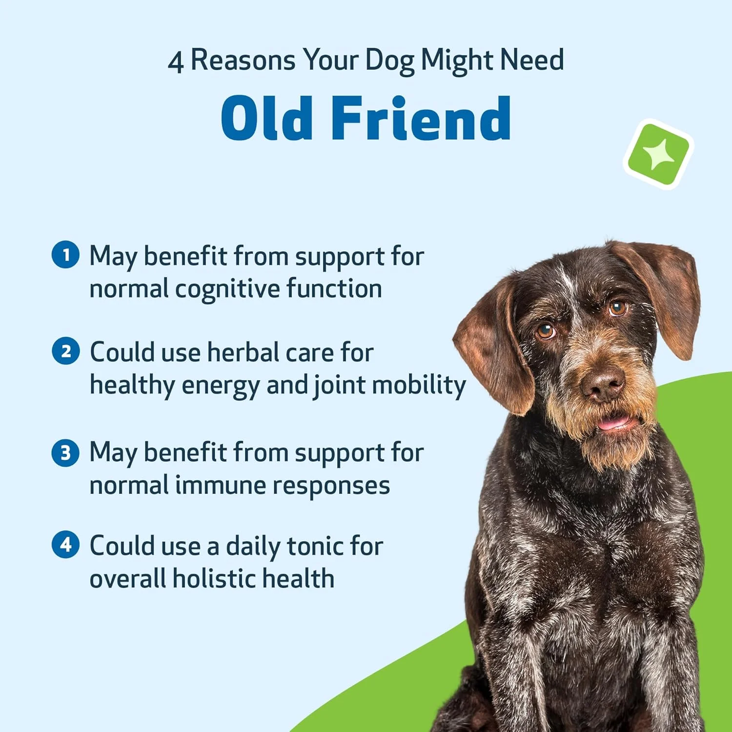 مکمل سلامتی حیوانات خانگی برای گربه های مسن - پشتیبانی طبیعی برای سیستم ایمنی و تحرک مفاصل در گربه های مسن - 2oz (89ml)