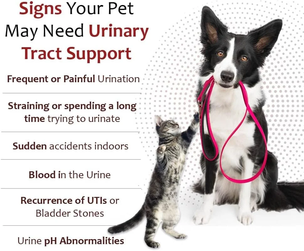 گرانول سیترات پتاسیم پلاس کرنبری K-Plus (۶۰ دوز) گرانول سیترات پتاسیم پلاس کرنبری K-Plus (۶۰ دوز)