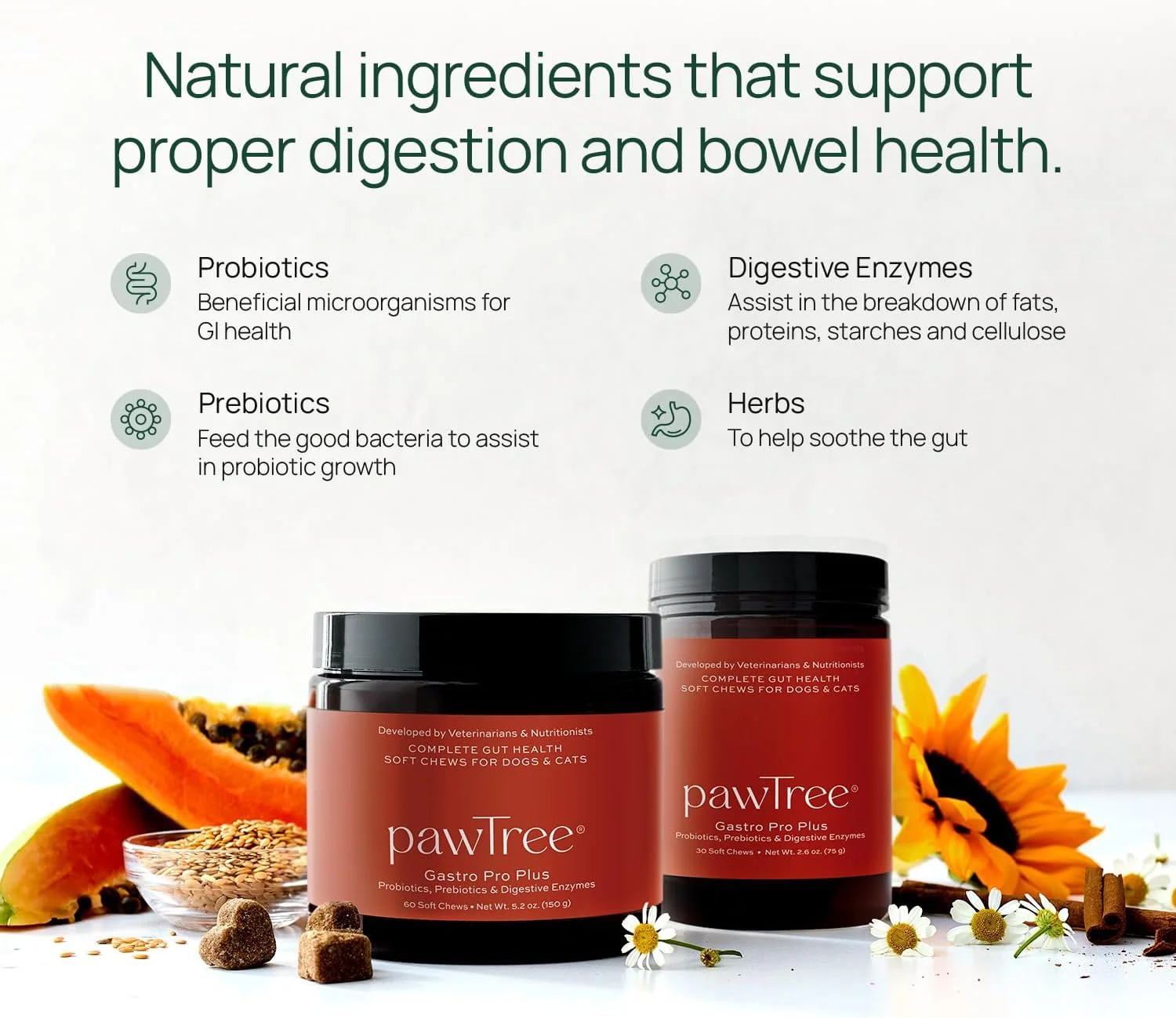 پاو تری Gastro Pro Plus® برای سگ ها و گربه ها - پروبیوتیک ها، پری بیوتیک ها و آنزیم های گوارشی - برای معده حساس، مشکلات گوارشی، مدفوع شل و گاز بد (60 عدد)