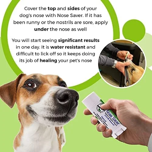 مرهم ترمیم کننده بینی حیوانات خانگی