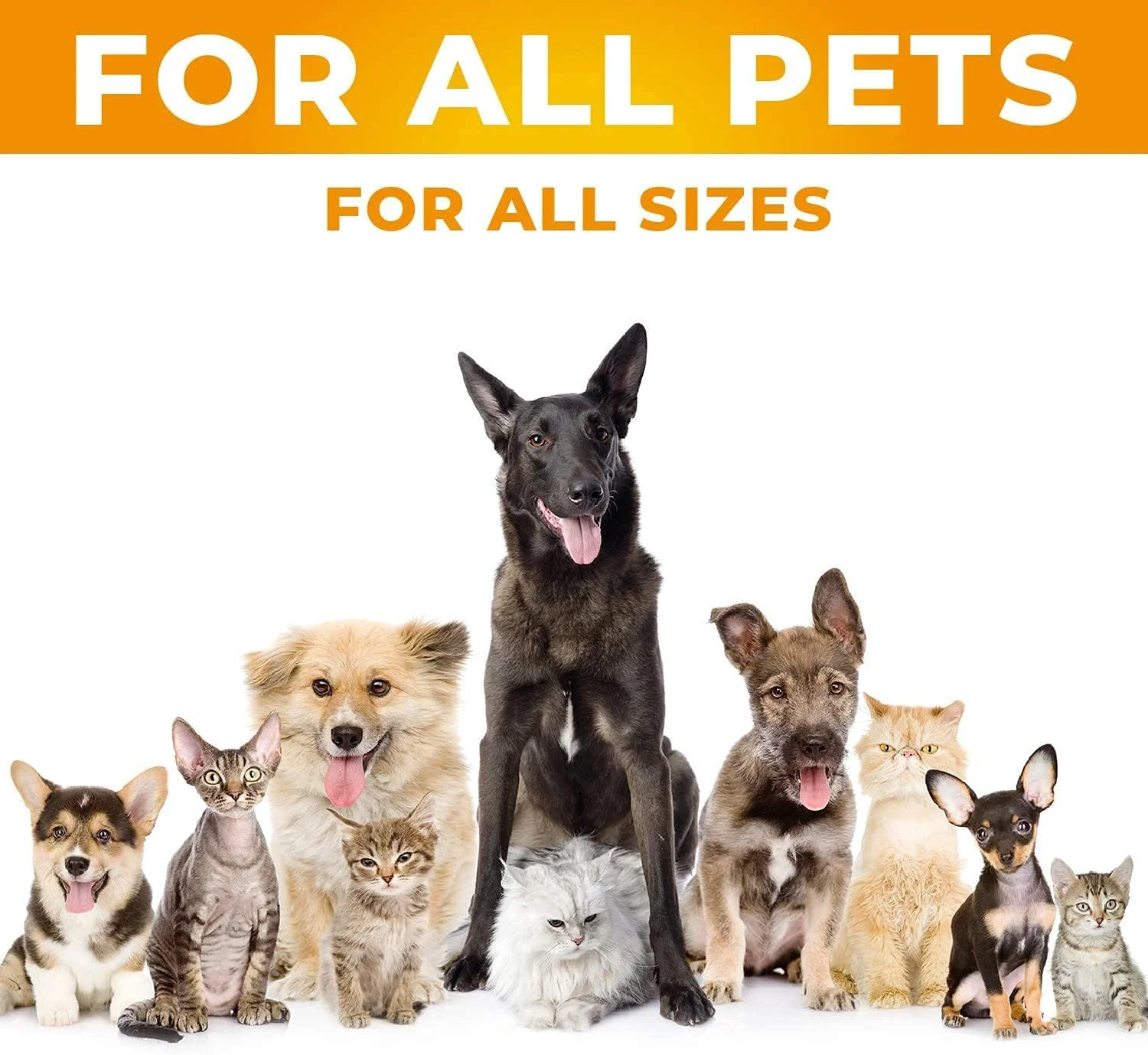 شربت پت آپ مکمل های سلامتی حیوانات خانگی || سیستم ایمنی سالم، رشد و توسعه || شربت حیوانات خانگی برای سگ ها و گربه های بالغ 200 میلی لیتر - (بسته 2 عددی، مایع) شربت پت آپ مکمل های سلامتی حیوانات خانگی || سیستم ایمنی سالم، رشد و توسعه || شربت حیوانات خانگی برای سگ ها و گربه های بالغ 200 میلی لیتر - (بسته 2 عددی، مایع)