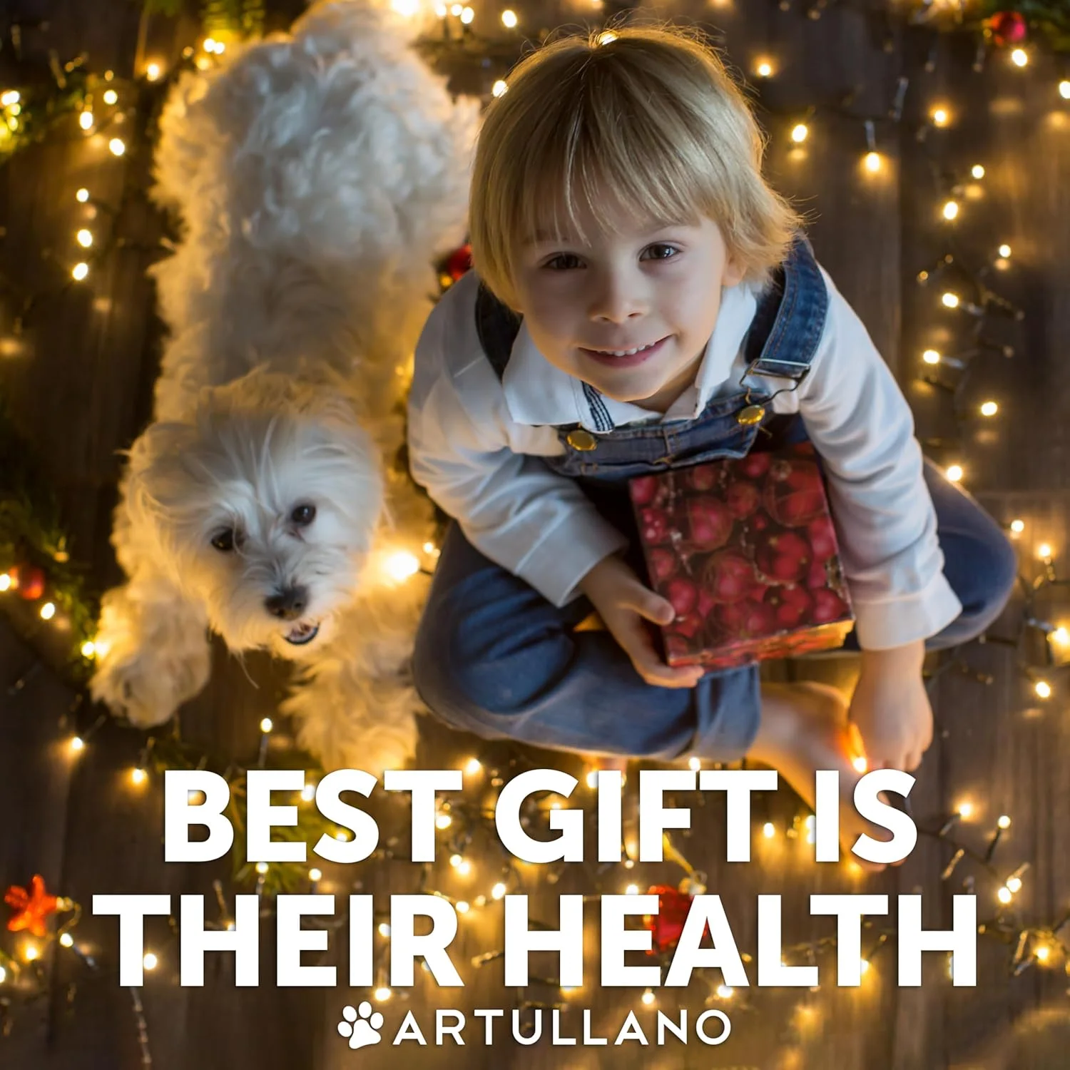 روغن ماهی امگا 3 برای سگ ها - مکمل مایع دفاع از پوست و پوشش برای تسکین آلرژی - EPA و DHA بالا برای ریزش مو، تحرک، خارش، حمایت از سلامت مفاصل و استخوان - 16 FL OZ