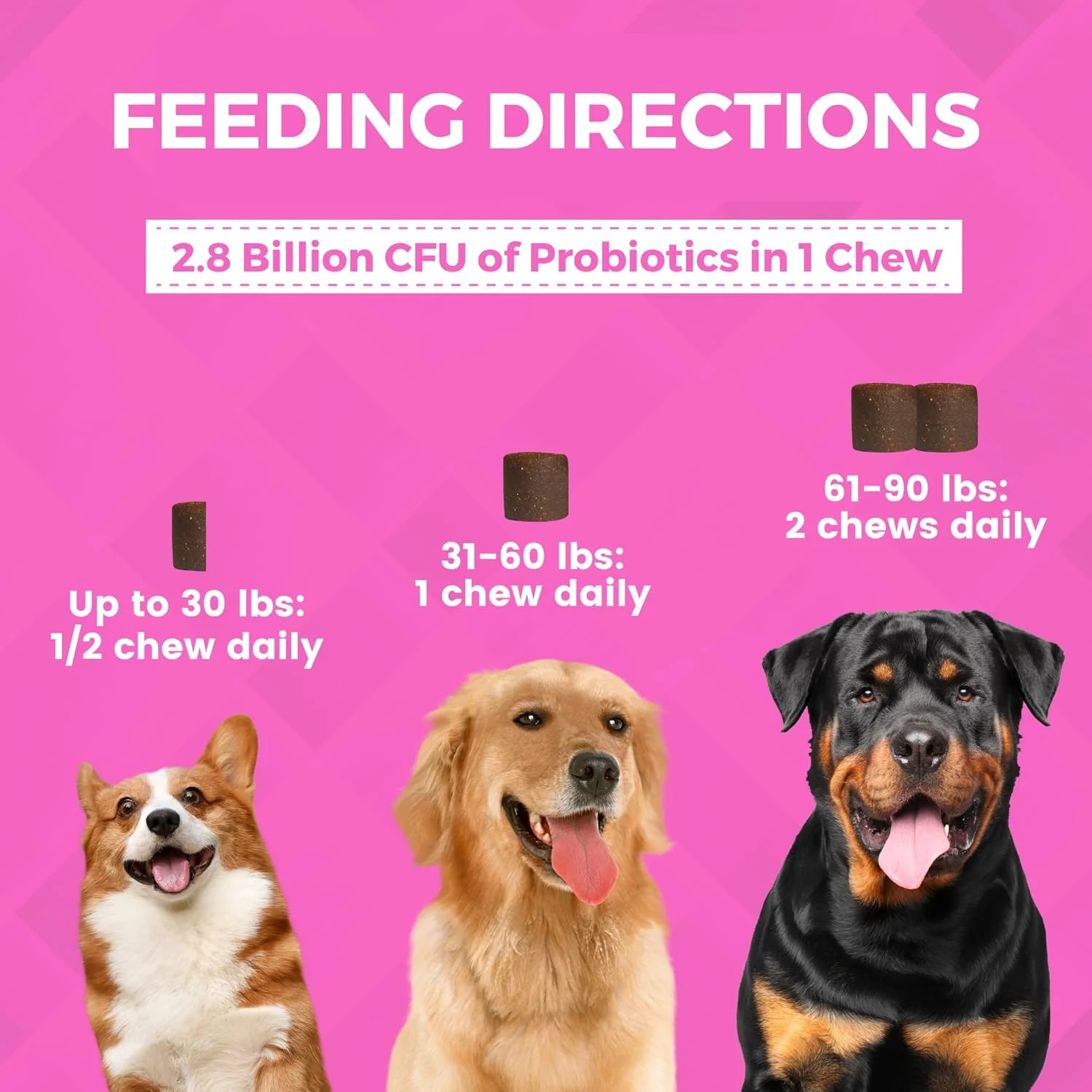 مکمل پروبیوتیک Progility Nootie، مکمل کمک کننده به هضم غذا برای سگ ها، 90 عدد جویدنی نرم در هر بسته