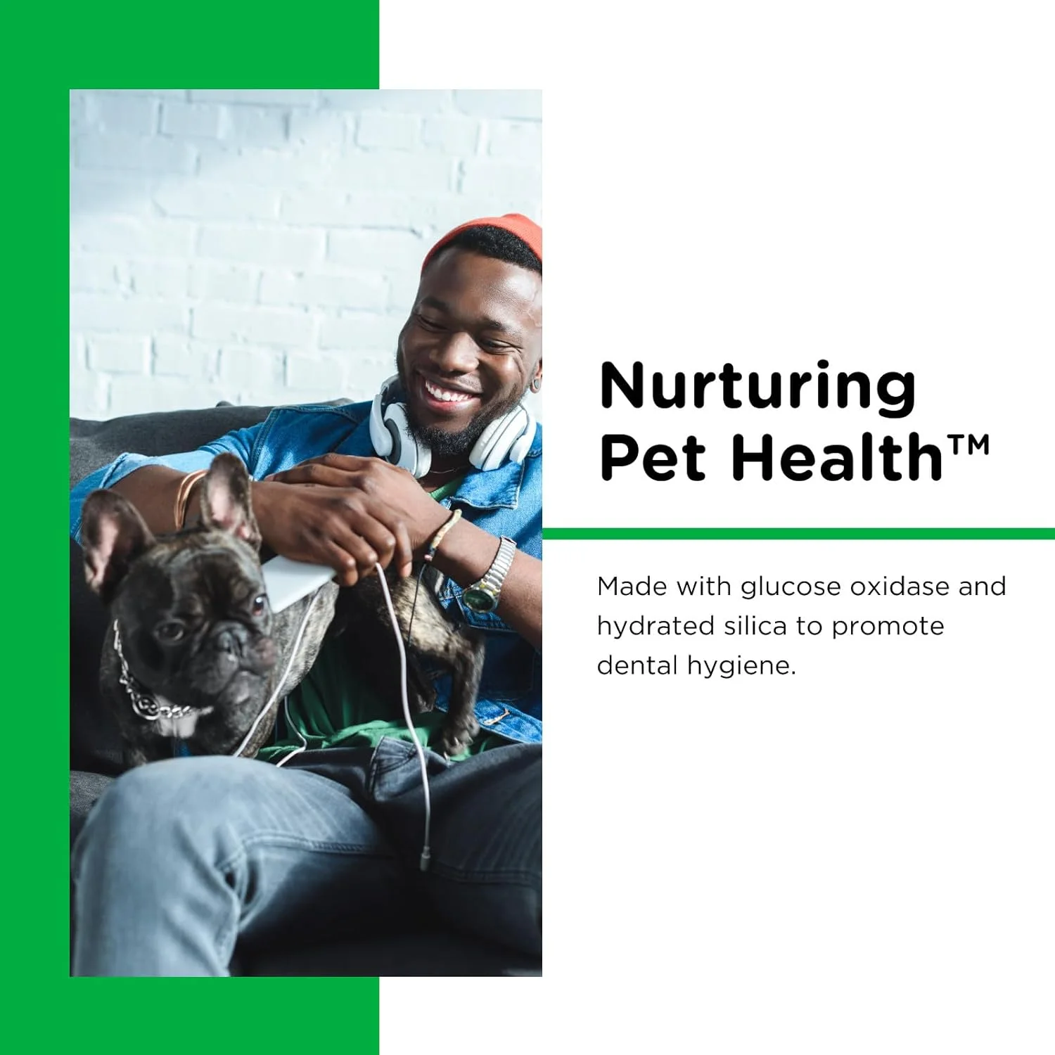 خمیر دندان آنزیمی نوتری-وت مخصوص سگ ها | بدون کف، طعم مرغ | ترویج یک سبک زندگی سالم و فعال | 2.5 اونس