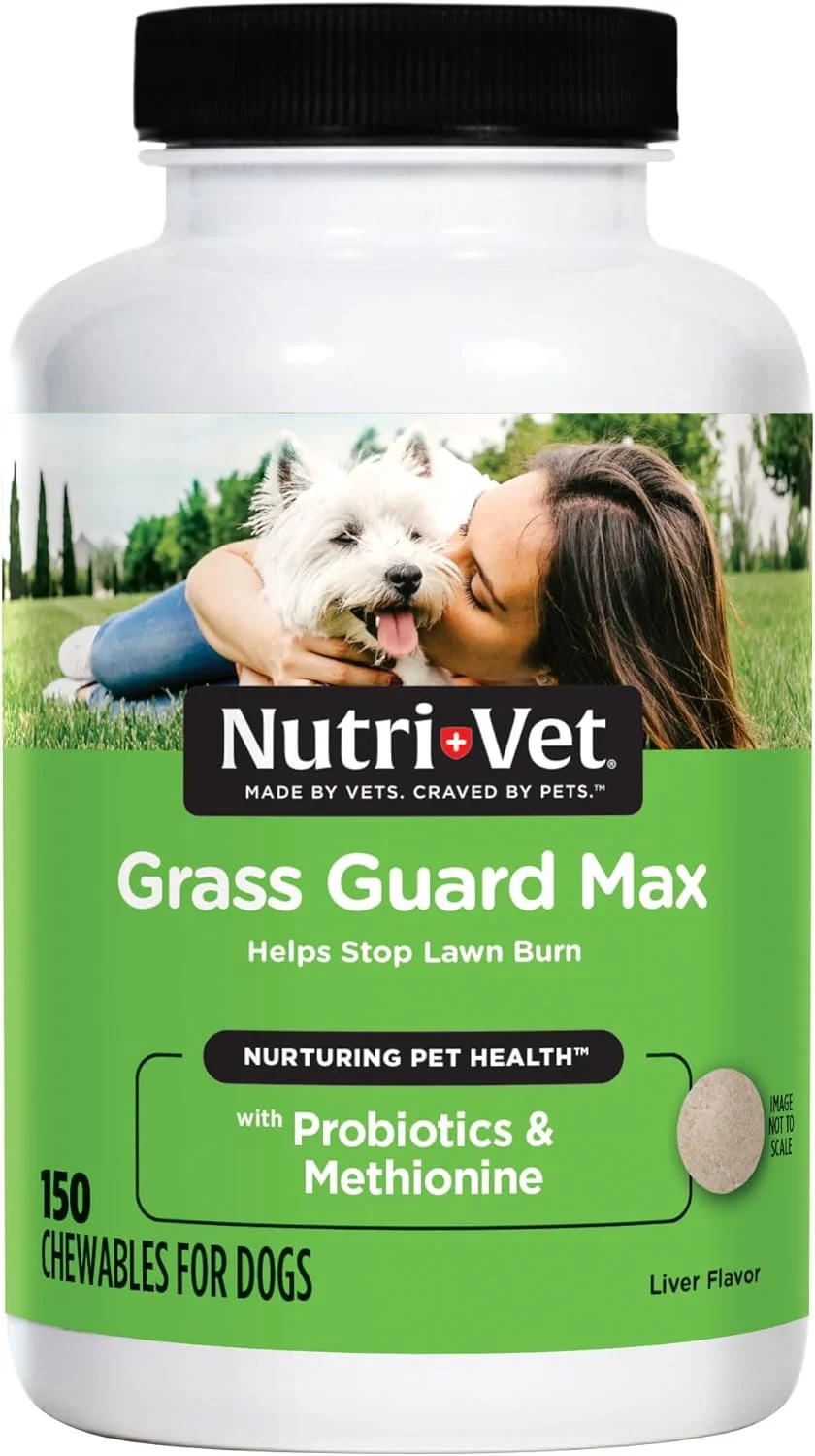 قرص های جویدنی Nutri-Vet Grass Guard برای سگ ها - ساخته شده با پروبیوتیک ها و آنزیم های گوارشی - جلوگیری از سوختن چمن ناشی از ادرار - 150 عدد