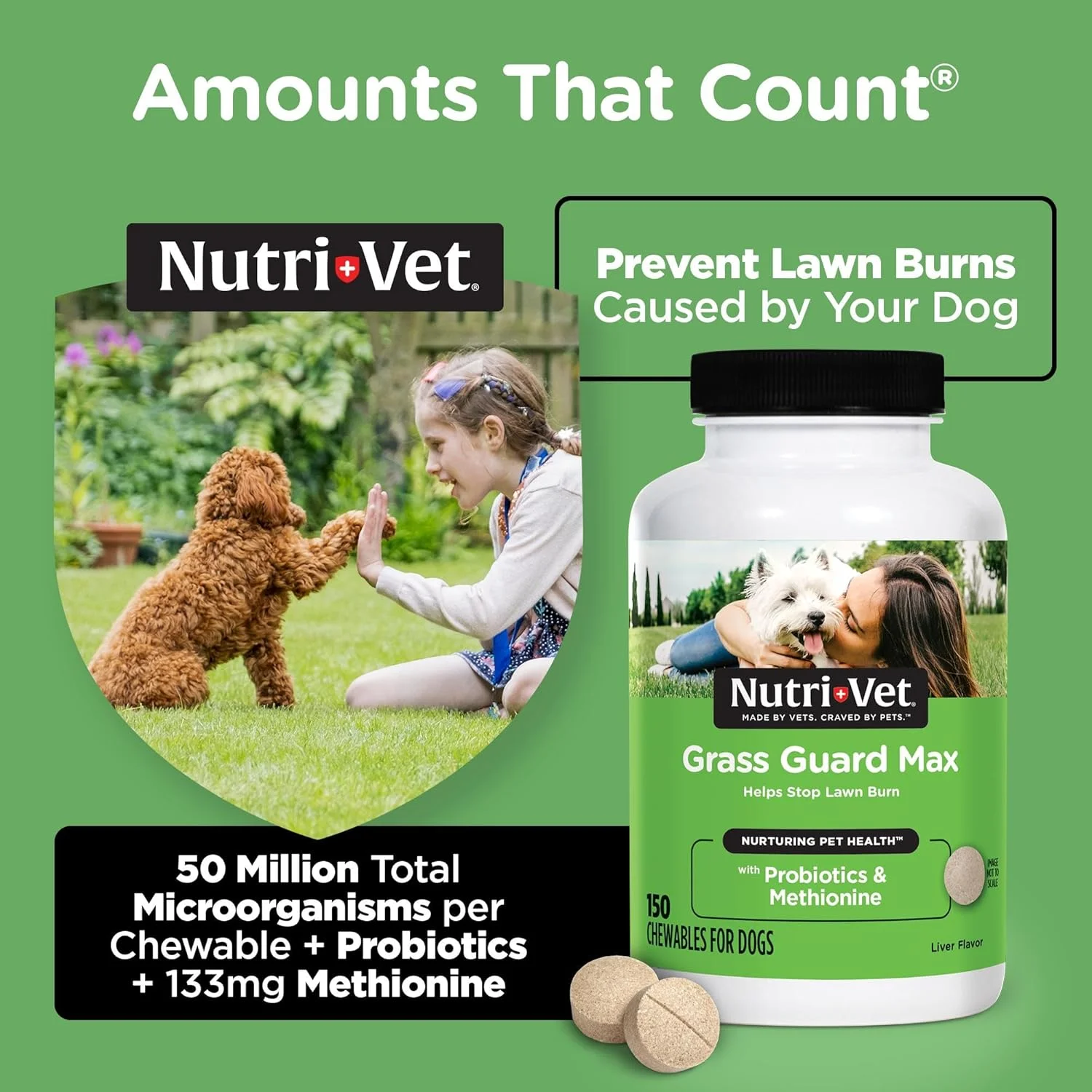 قرص های جویدنی Nutri-Vet Grass Guard برای سگ ها - ساخته شده با پروبیوتیک ها و آنزیم های گوارشی - جلوگیری از سوختن چمن ناشی از ادرار - 150 عدد