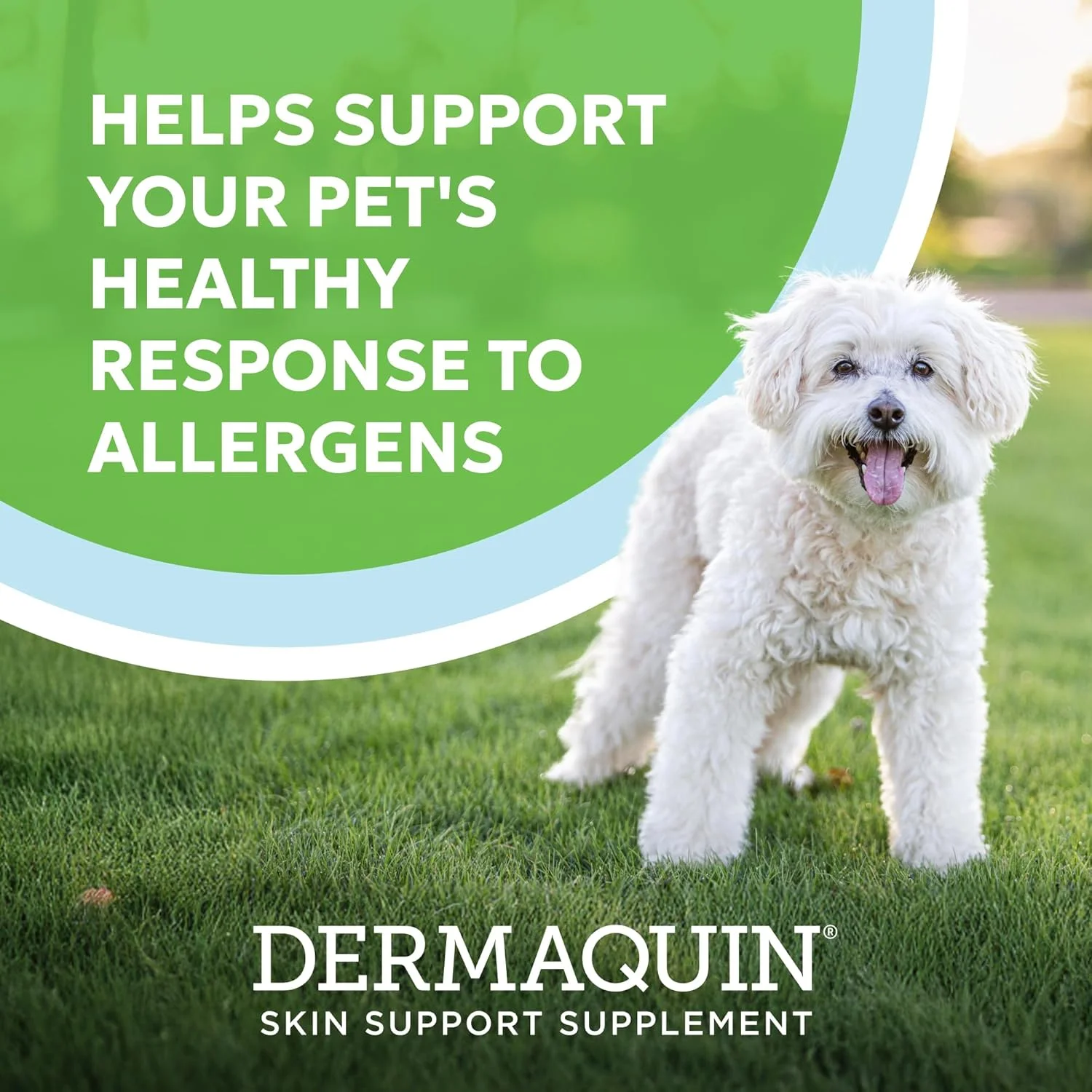 مکمل پشتیبانی پوست درماکوین نوترا مکس آزمایشگاه مناسب سگ های کوچک/متوسط 2.2 تا 13.6 کیلوگرم و گربه ها 60 عددی